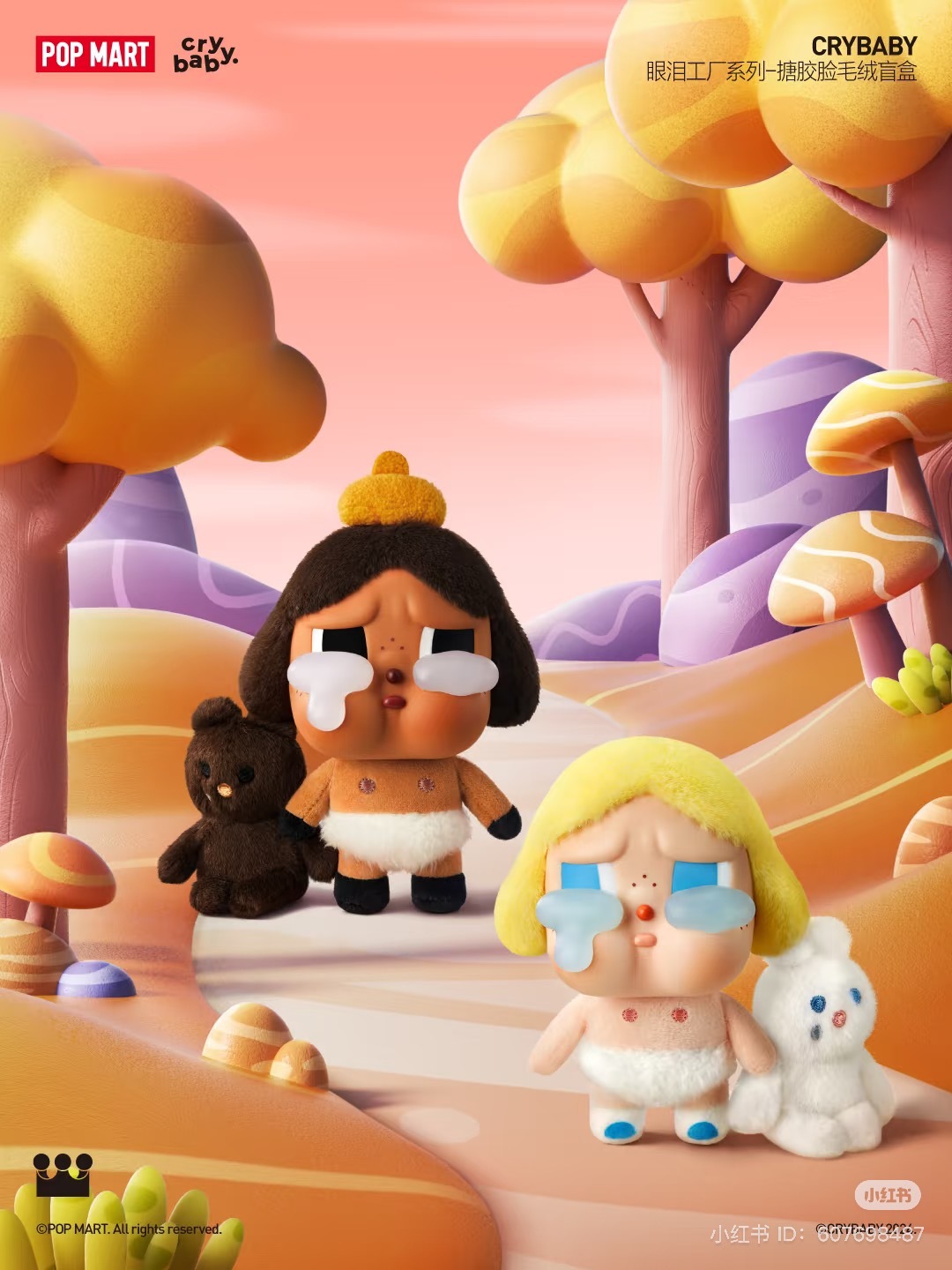 IMG_0658-1731862183245