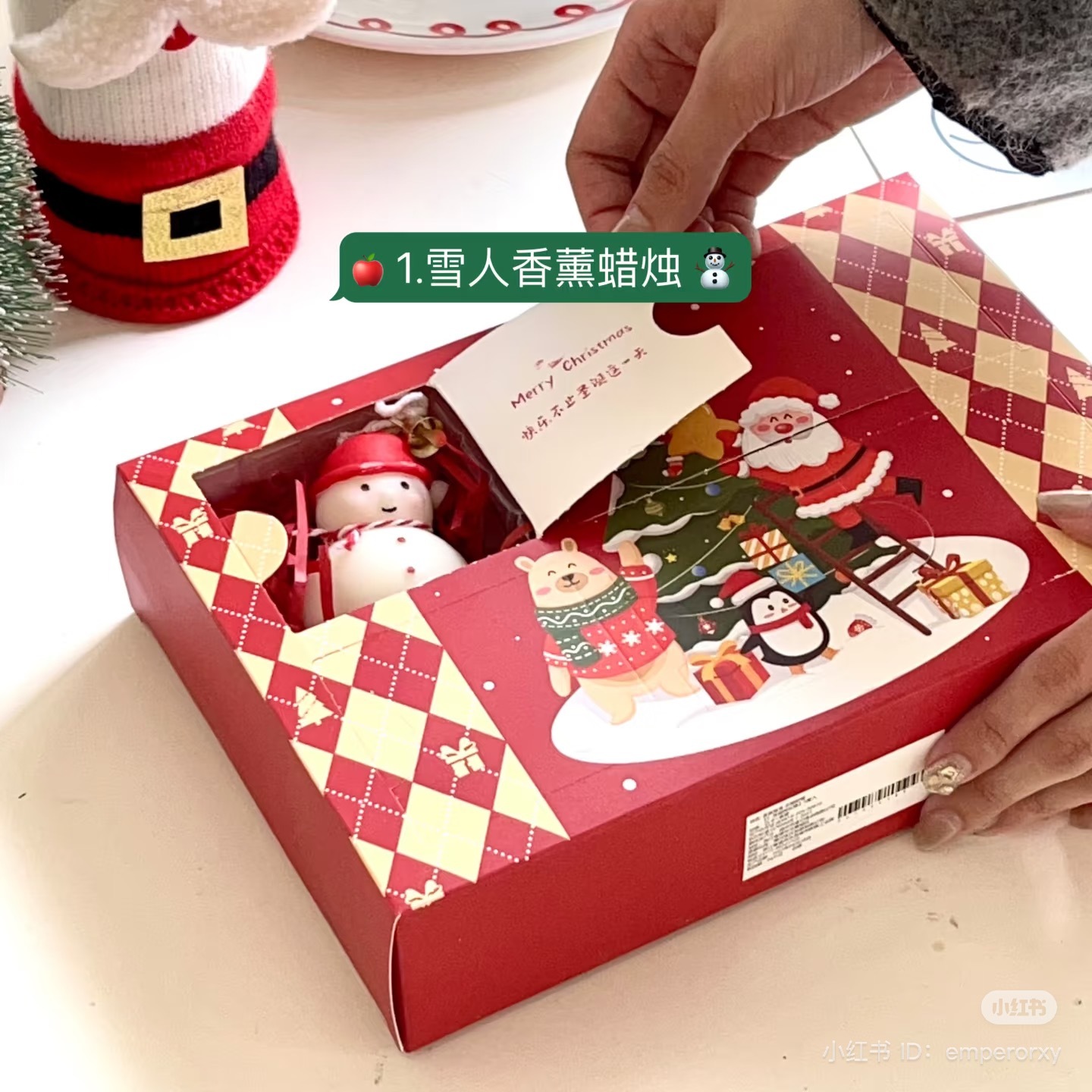 IMG_2781-1733136524236