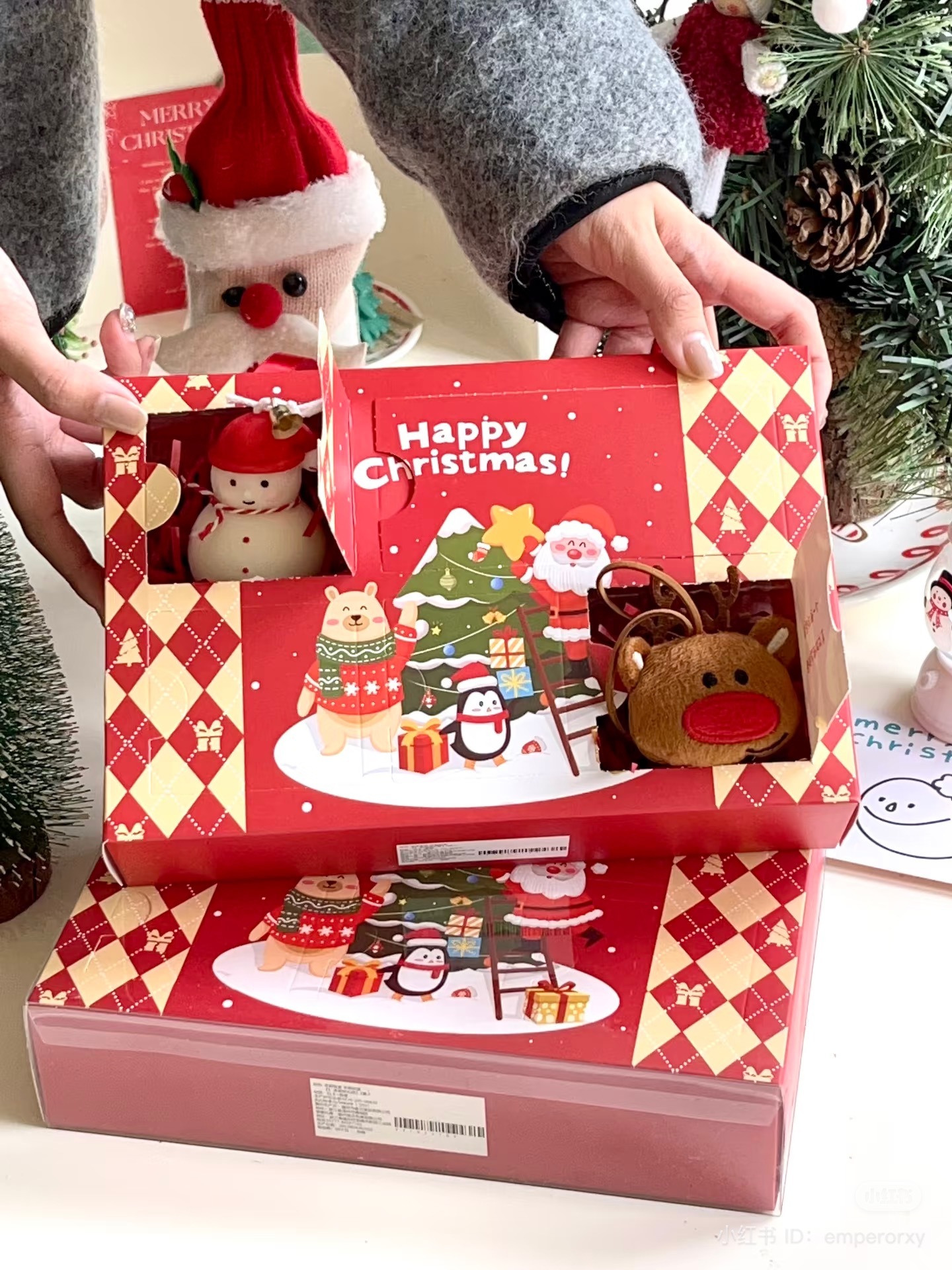 IMG_2787-1733136524224