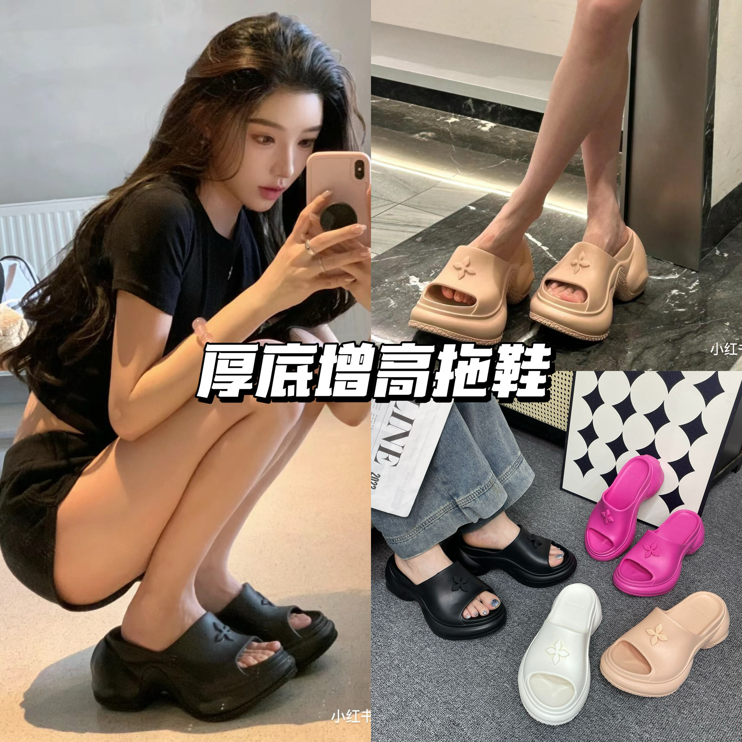 IMG_8260-1720702619576