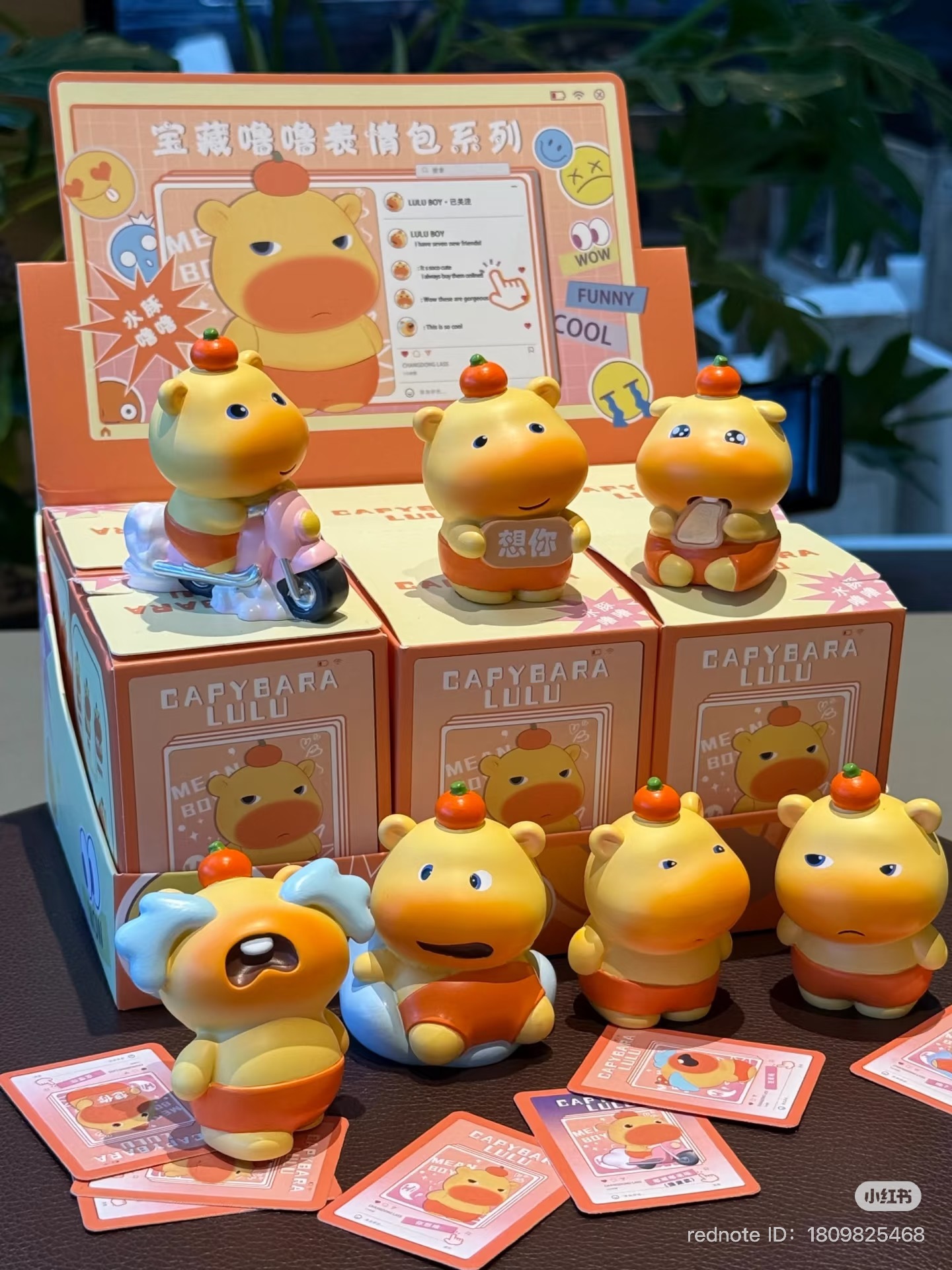 image_620750E5-9598-43FF-9B82-ECF24FA236A0_1751195196