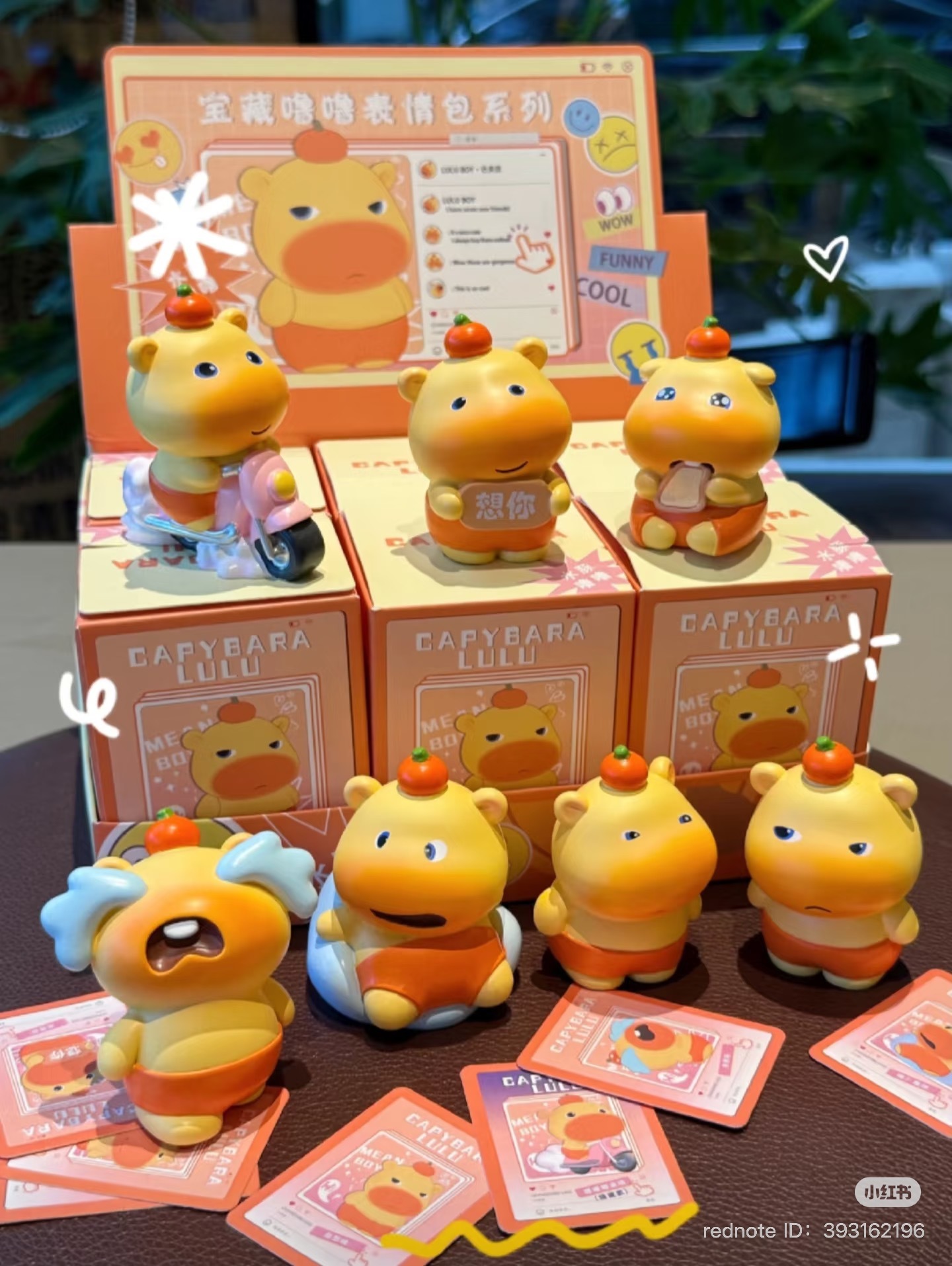 image_A440FD8A-5629-46BF-A6C7-4CEE48F5D016_1751195196