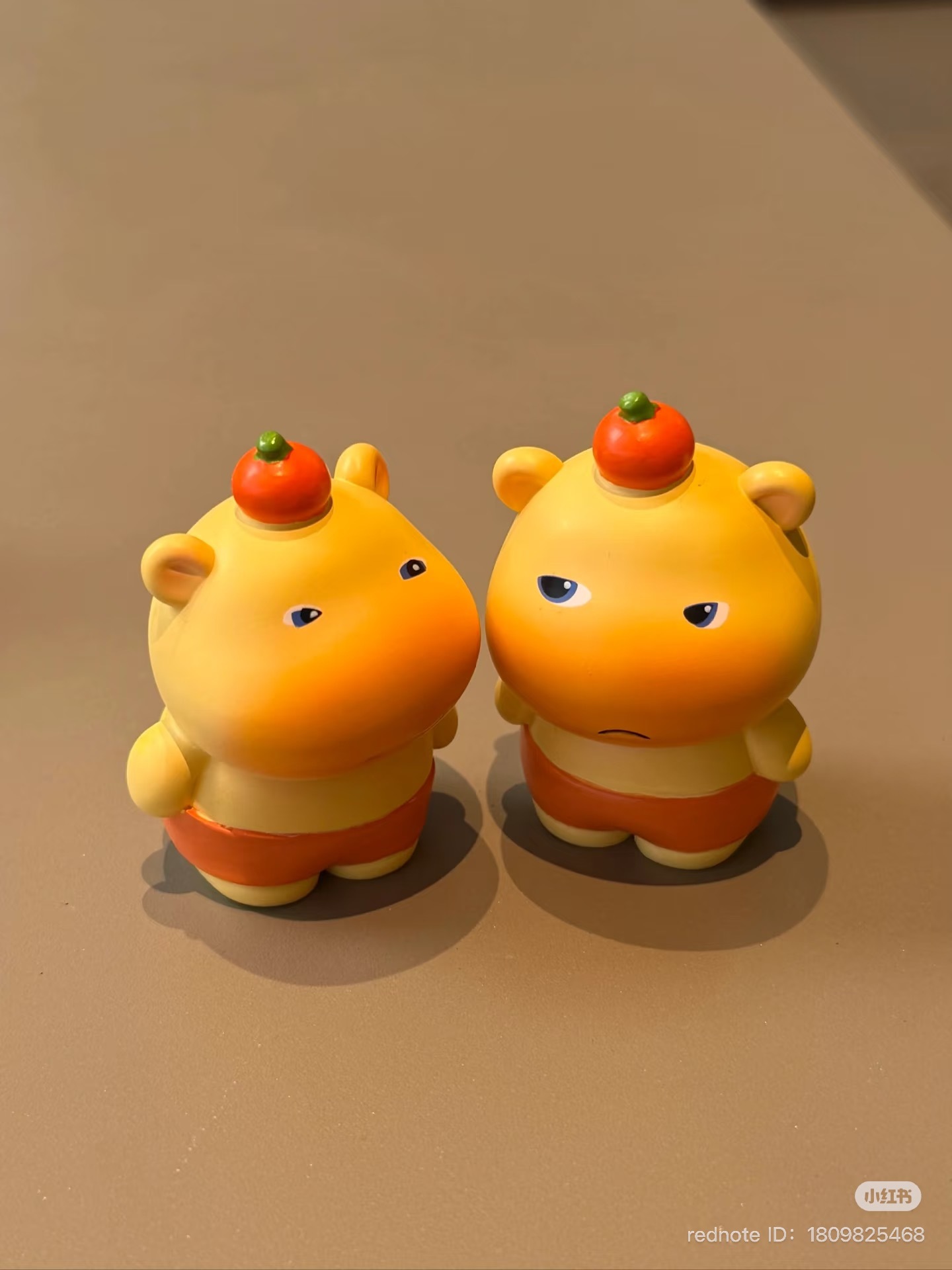 image_9A6C5F71-5A62-4806-BA93-2365C7FB015C_1751195196