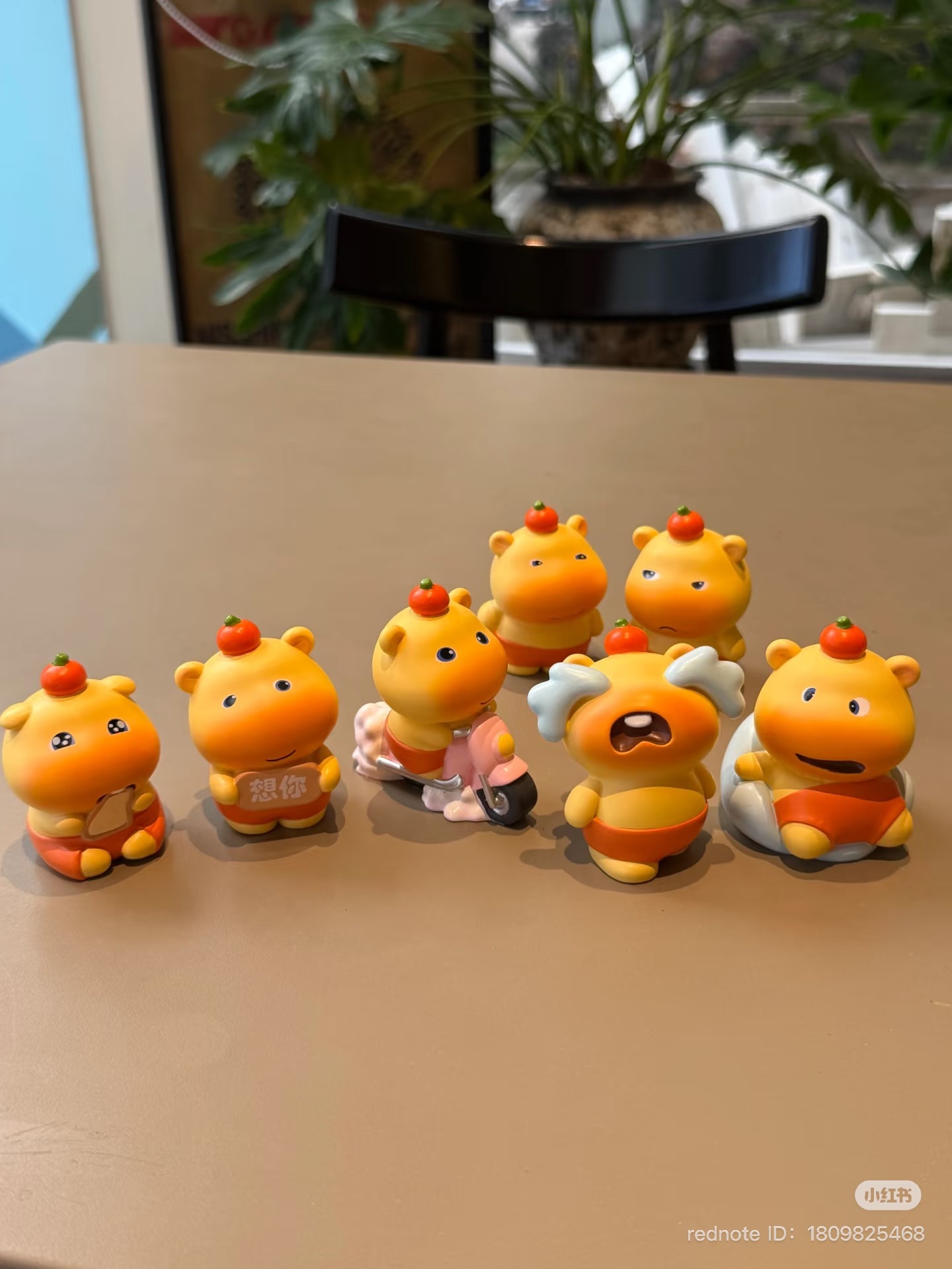 image_60B299A5-608C-4A81-B9C2-167D8C7E73D3_1751195196