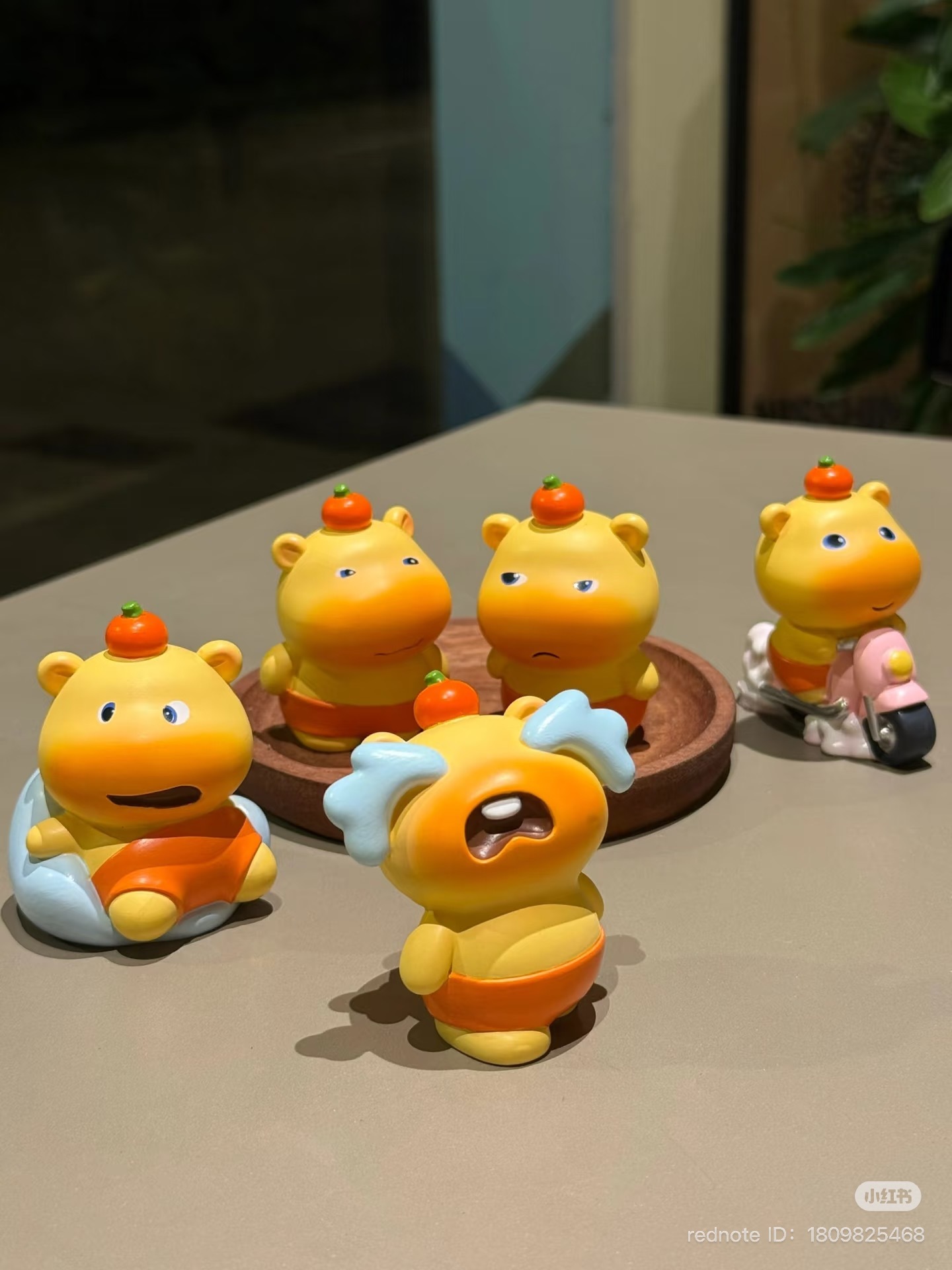 image_13A09648-A0AF-439E-A67C-7326086BE735_1751195196