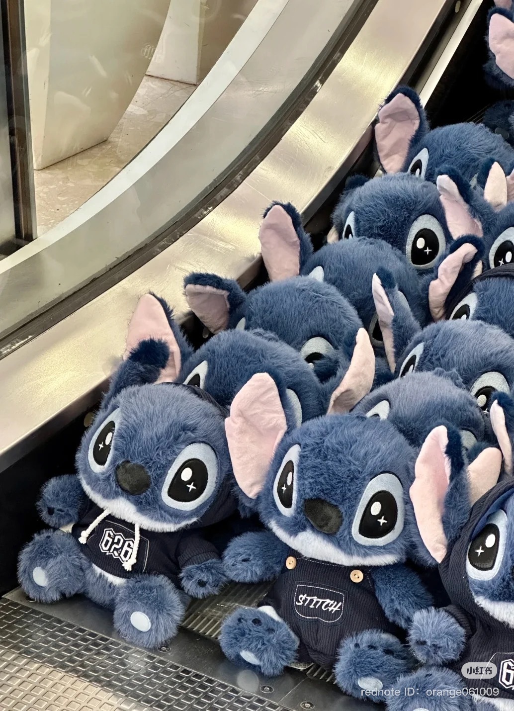 image_C4AC5C7A-1FCD-46E5-81A8-374C4279B3EA_1751454966