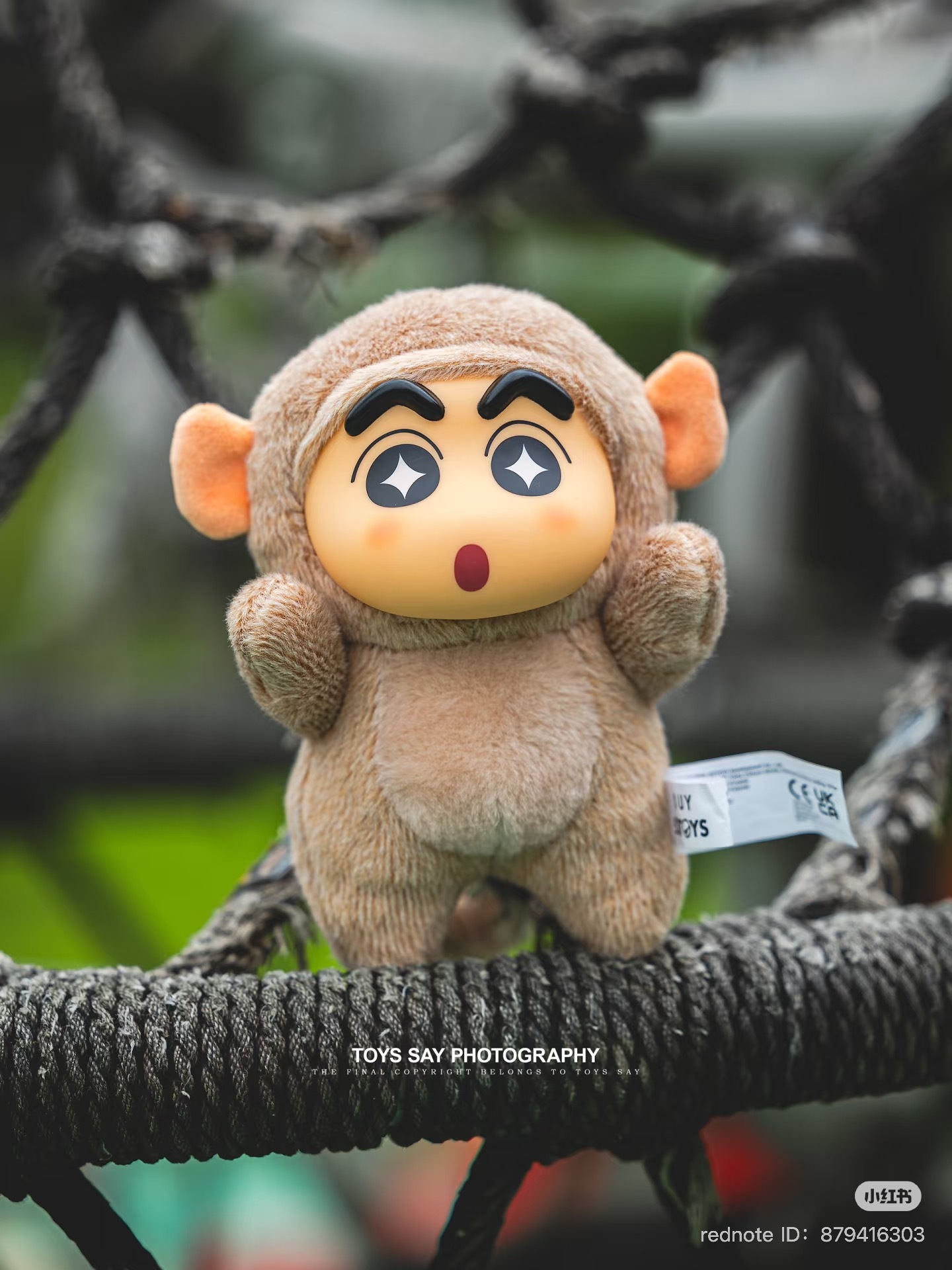 image_DBC2D12C-92F8-4A96-811F-E97D45DAEA23_1751461068