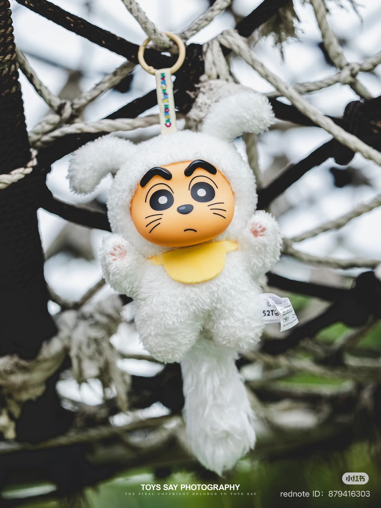 image_5DE8B860-6178-4A11-8F6E-C45C32387729_1751461068