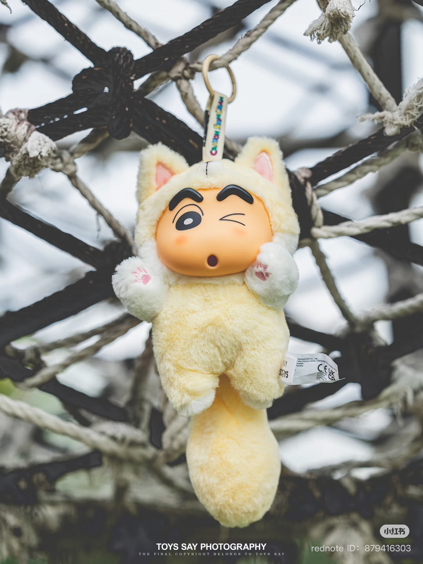 image_104D2C1E-8EEE-4EA4-9161-22116D19D8C0_1751461068