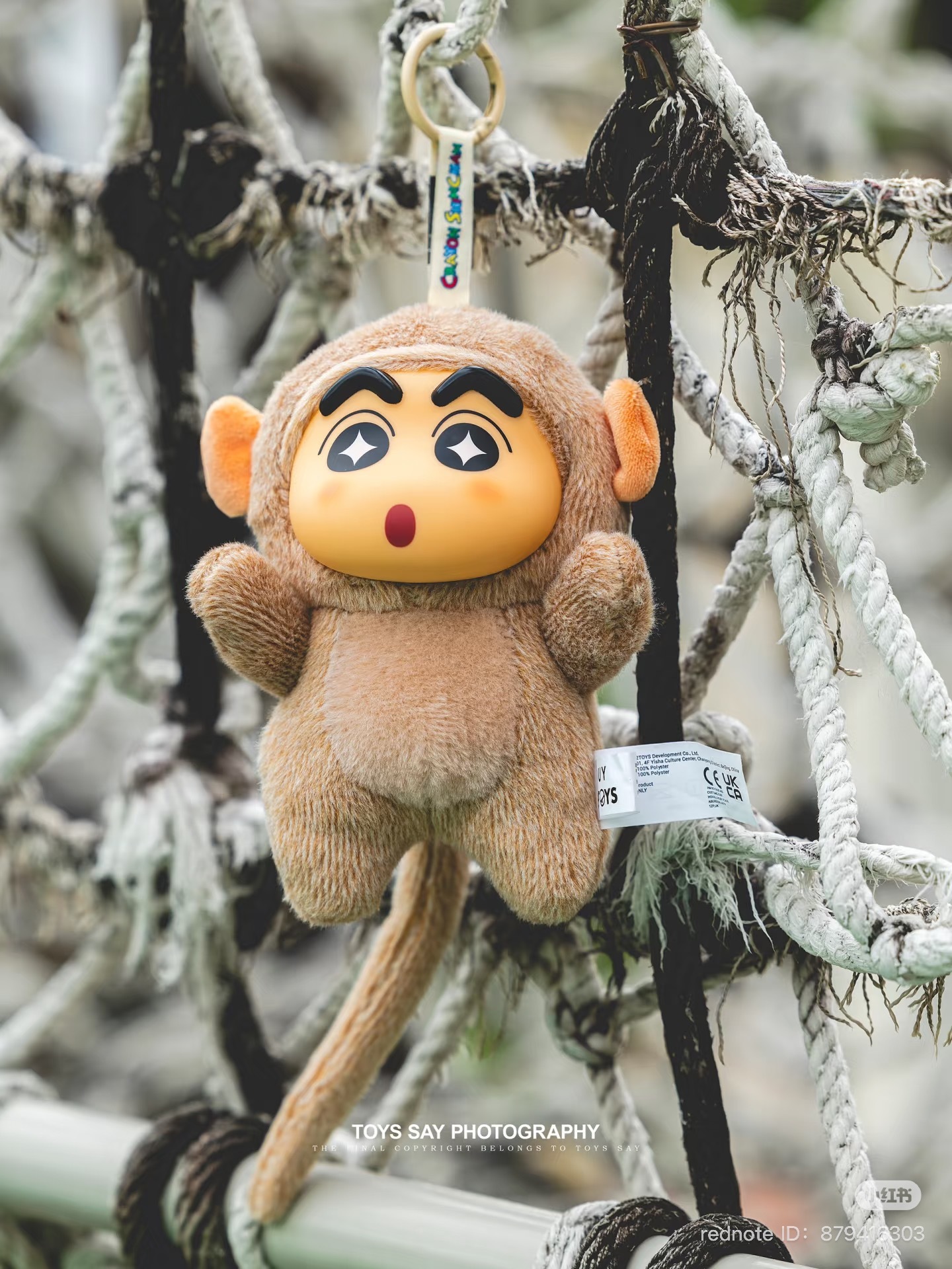 image_0F19E5F6-9EF4-410B-AAC1-0EDF652D8344_1751461068