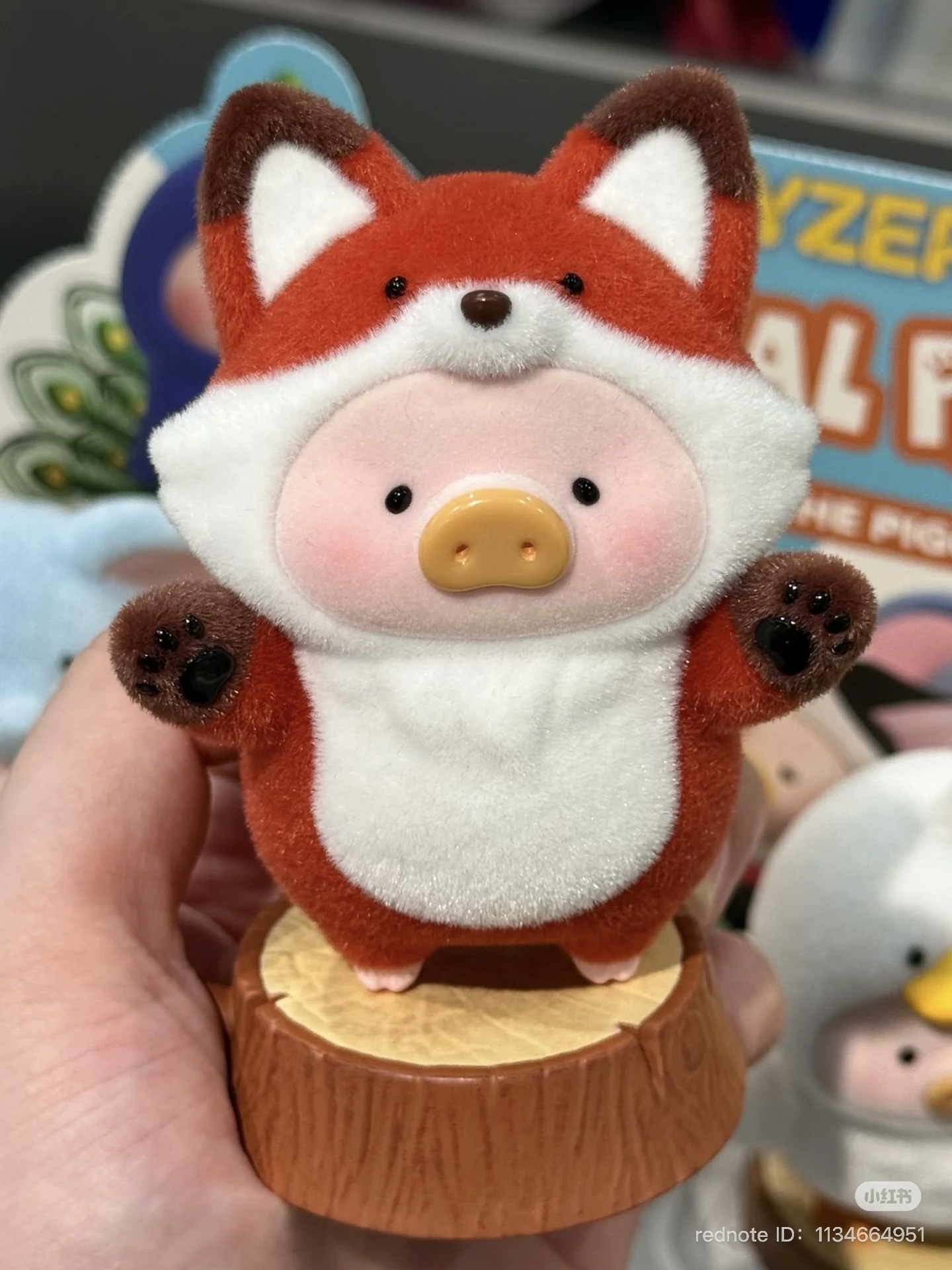 image_2886CC7E-C540-400D-A973-3C3B4570C9B9_1751630192