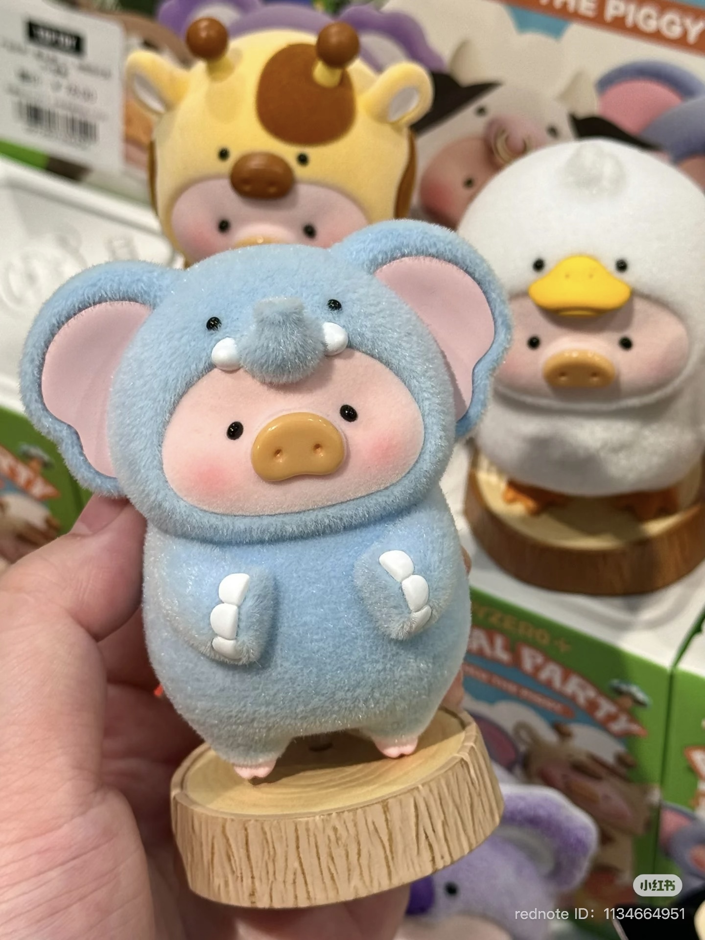 image_2100F857-50AF-4A4A-A19A-5770EB793EE6_1751630192