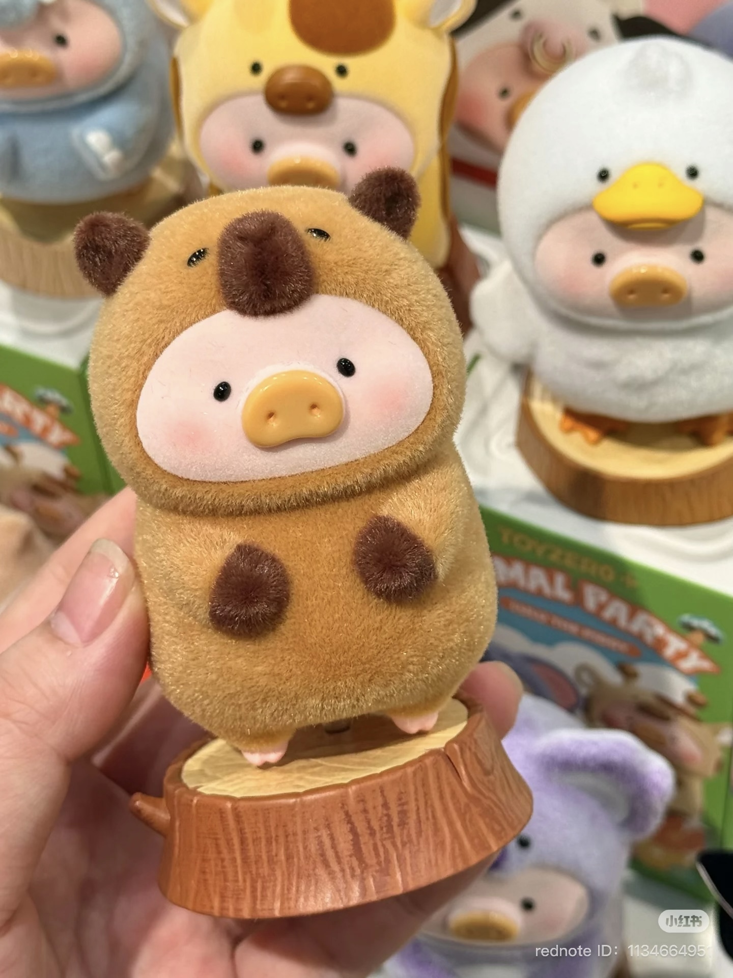 image_8D118303-72DD-4A27-8B46-9ED173C5ECDC_1751630192