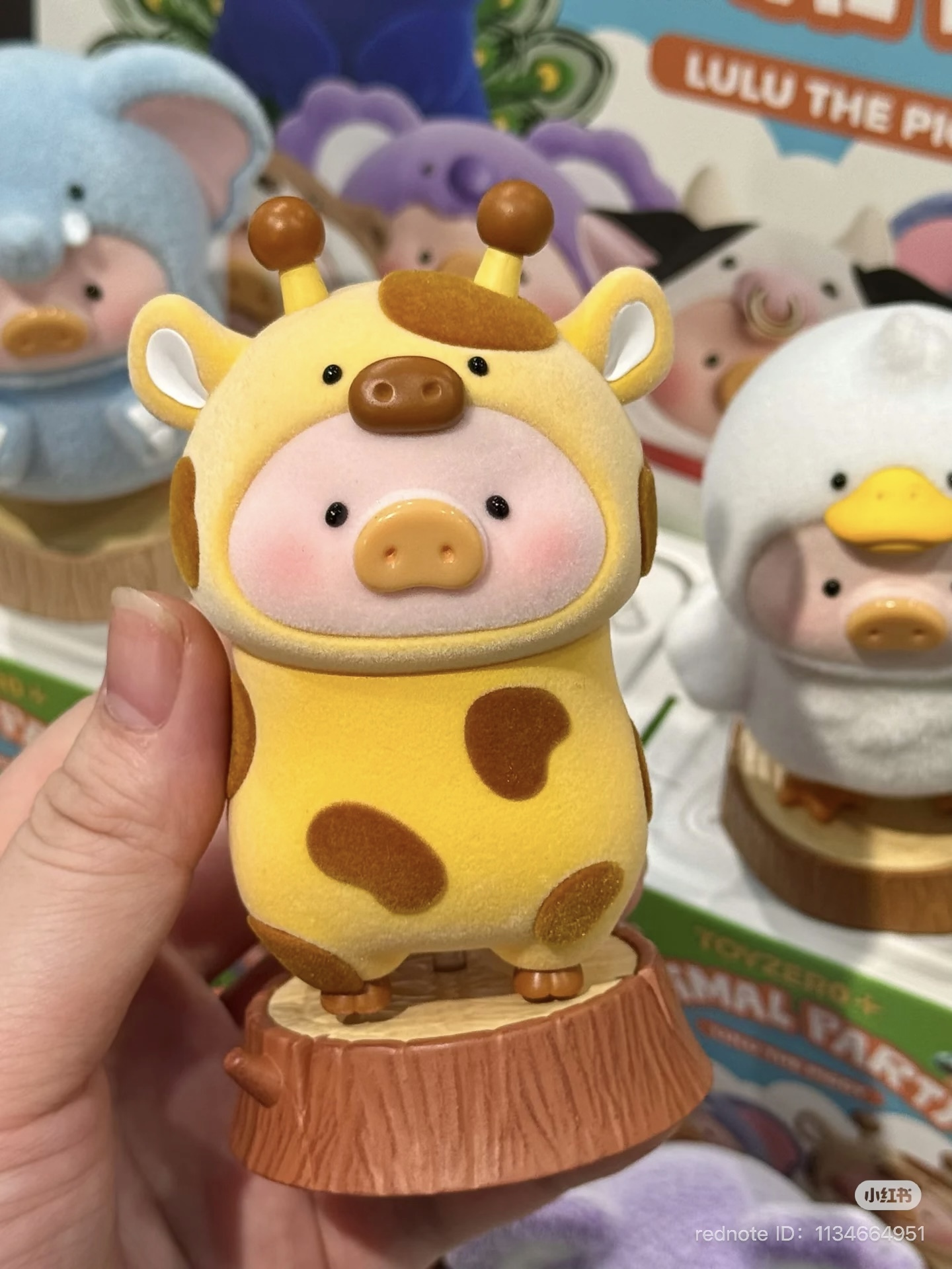 image_96E471A2-BB21-44BA-A5D3-560C2703F07A_1751630193