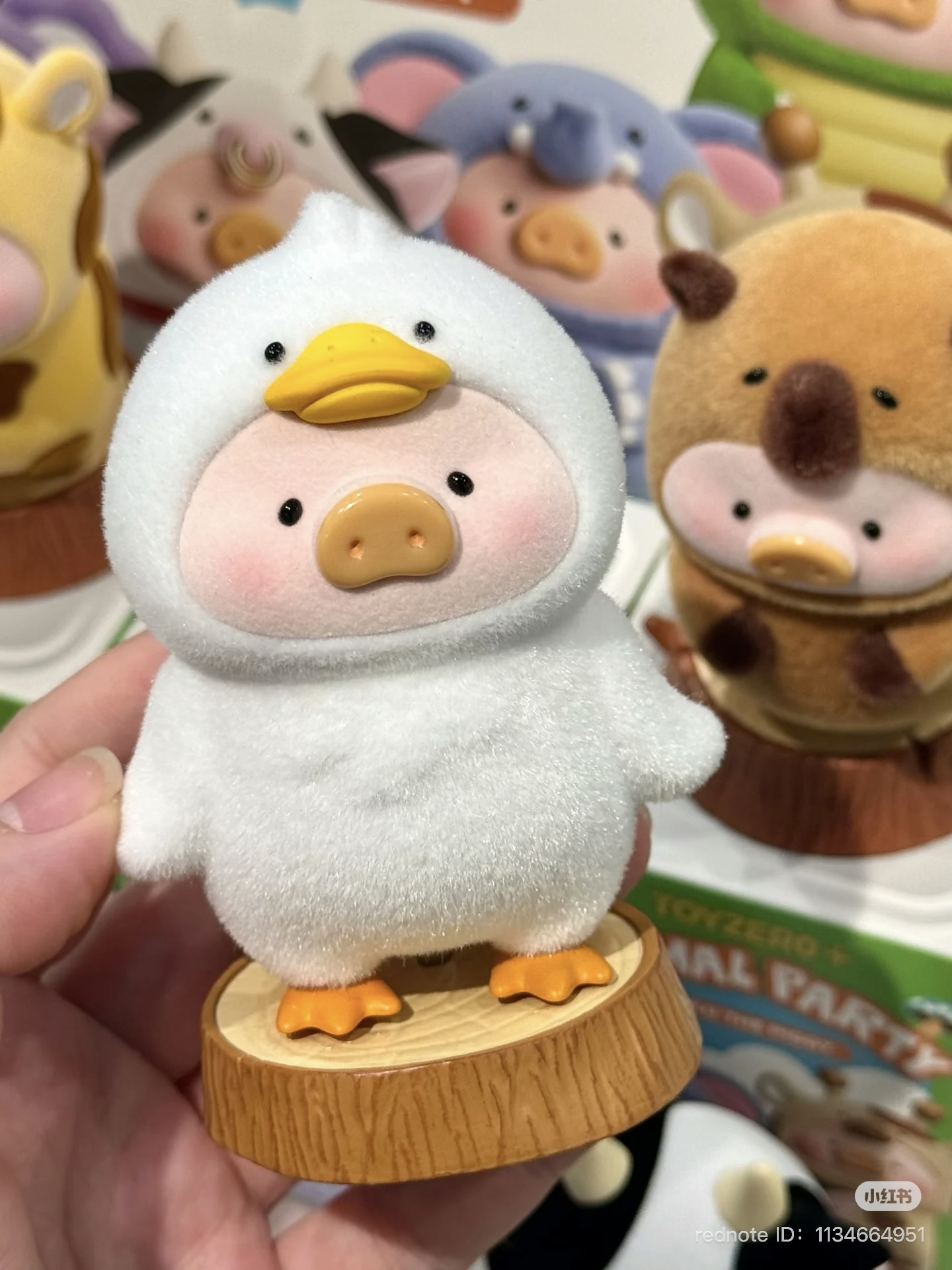 image_D0CB275C-13D5-4393-883C-A4BF3E70C272_1751630193