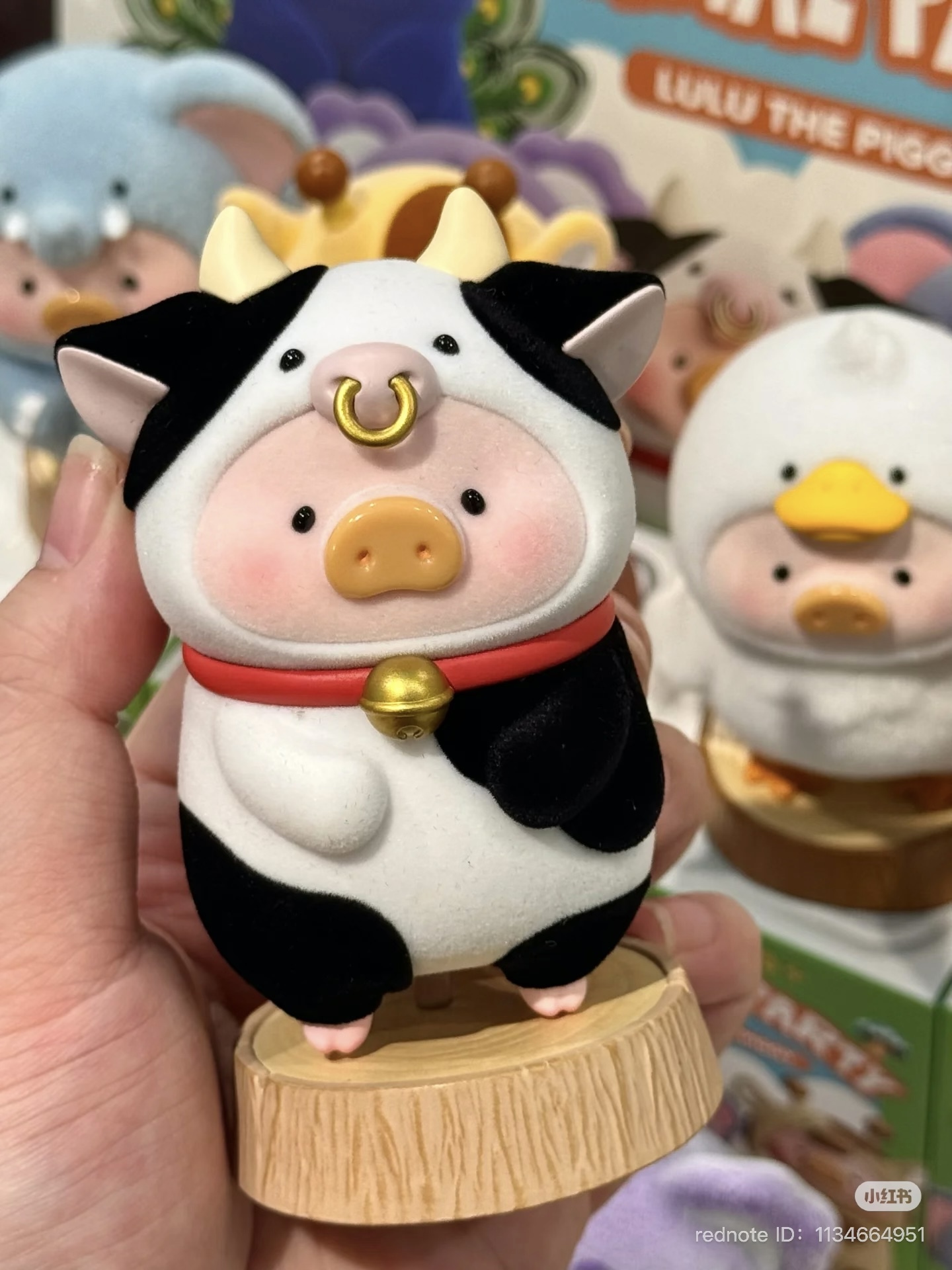 image_2A7E021D-287C-496D-99C3-8B3891D47818_1751630193