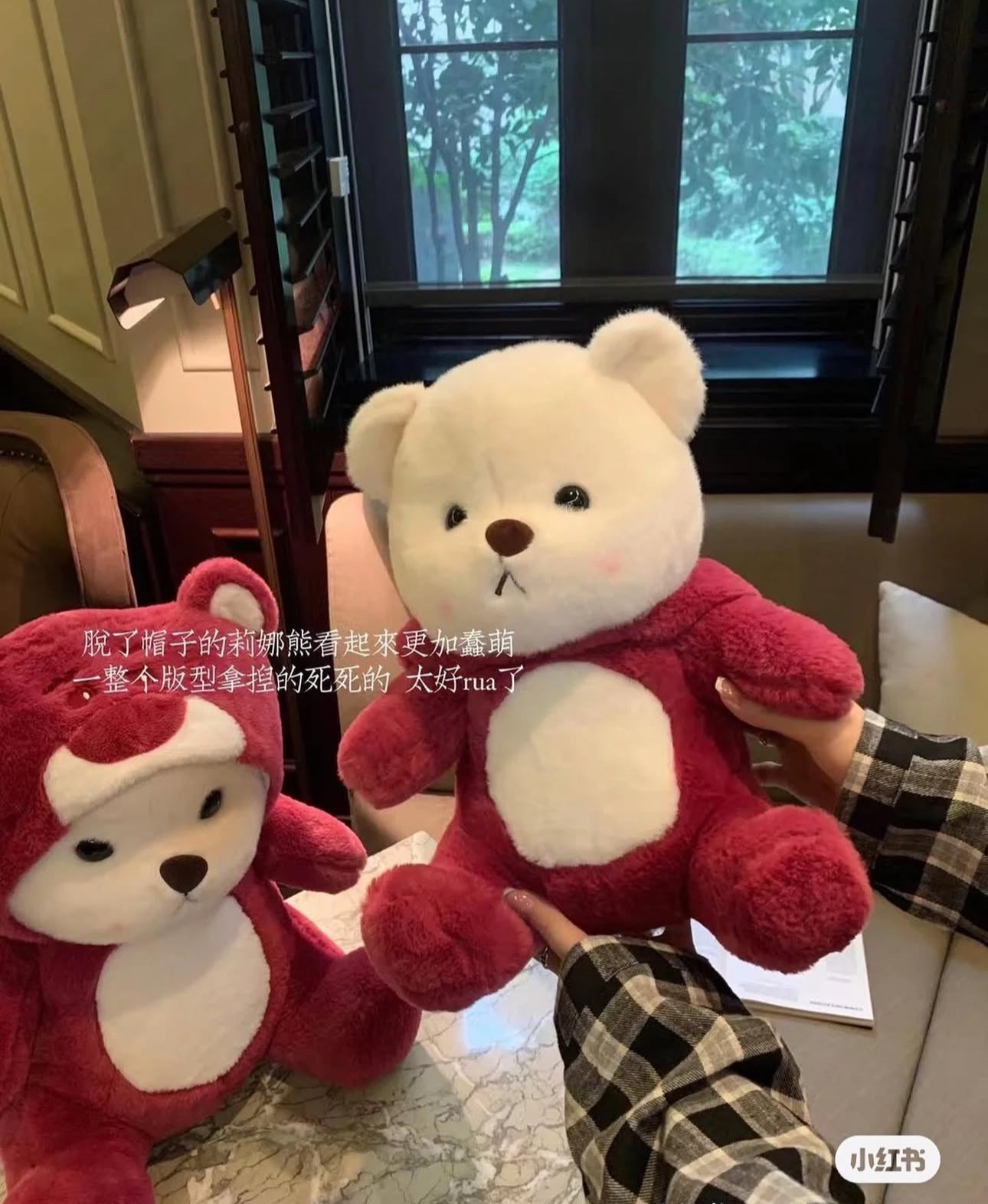 image_B5D23FFD-367F-4879-8C0E-42ECBD31BB8A_1751708458