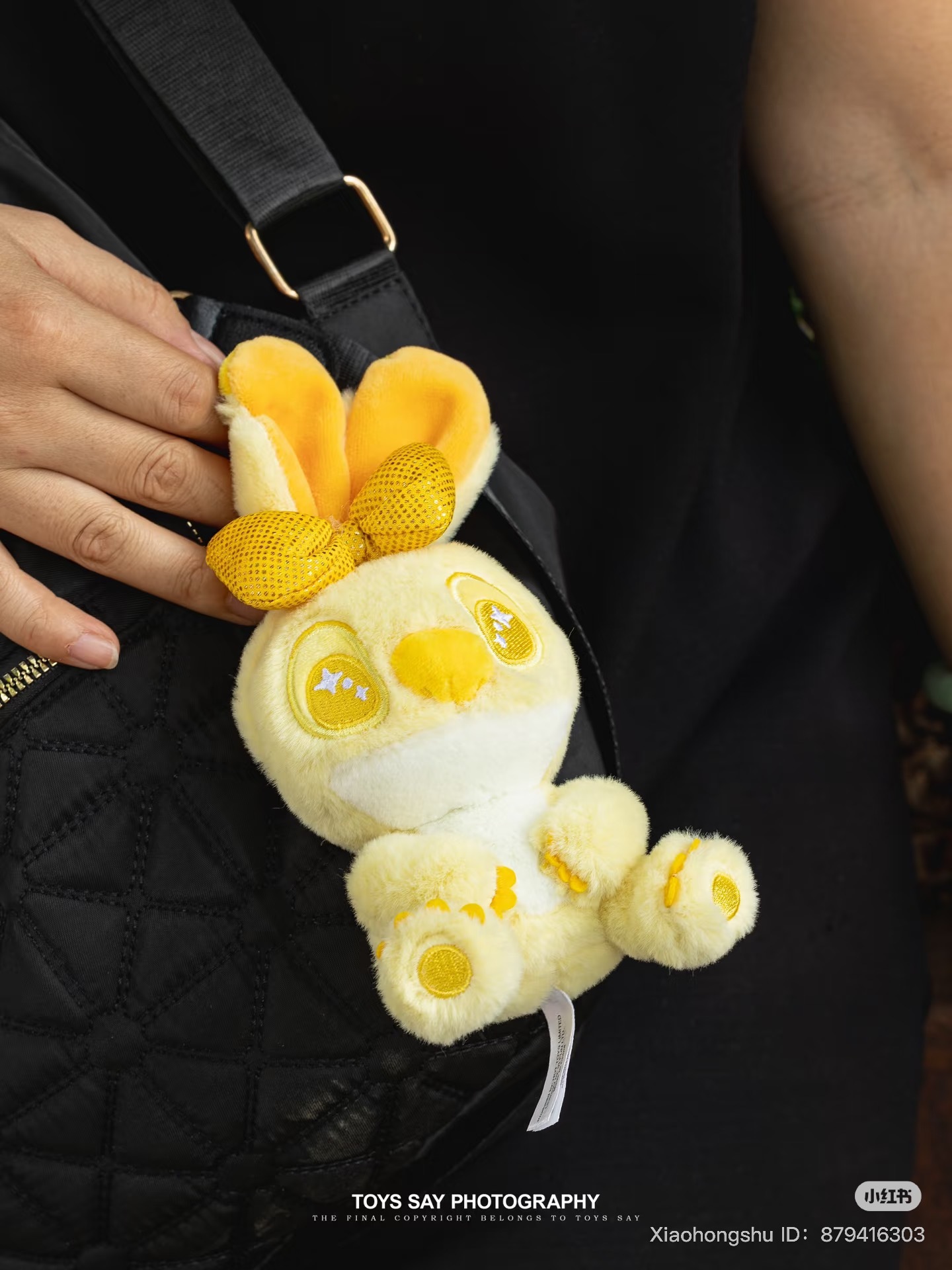 image_F16993C3-AA57-4698-A9EC-BC74492D29F5_1751771291