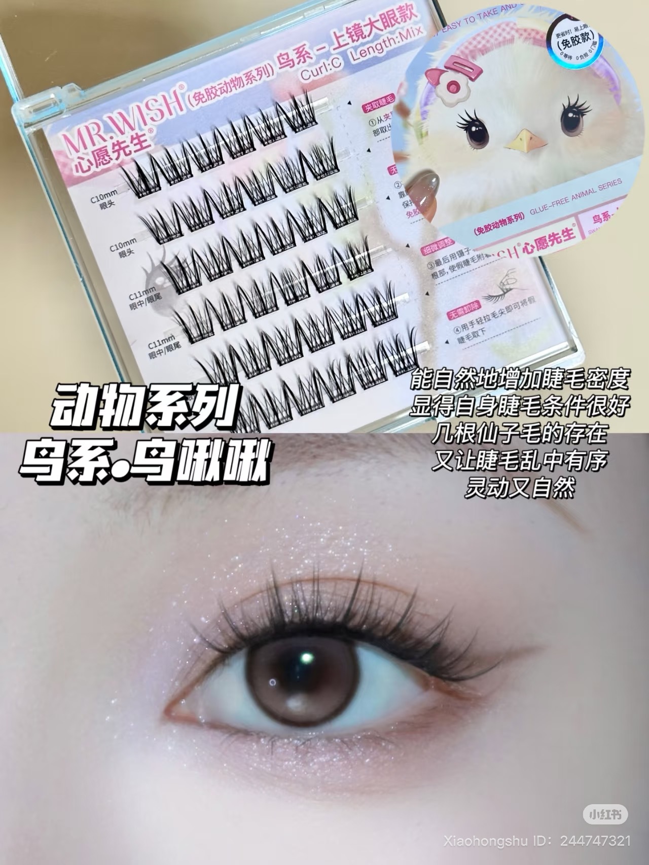 image_531F9F01-F11B-4FBD-BEC1-EE59D915D614_1751968629