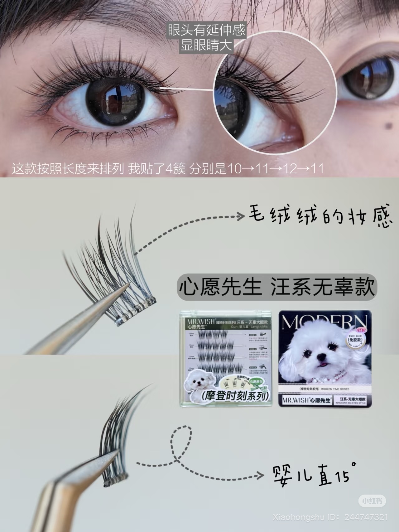 image_93B3AFDC-35E8-4318-AA56-59A72D9C5743_1751968629