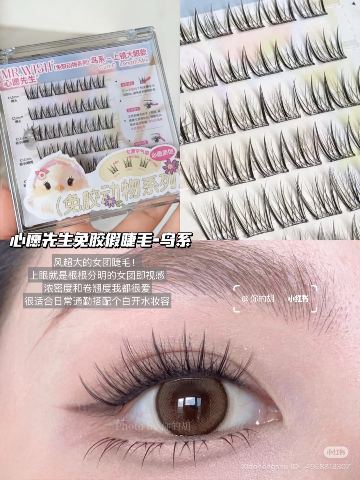 image_D6087FC4-952C-41F1-BCC7-7CD85A390090_1751968629