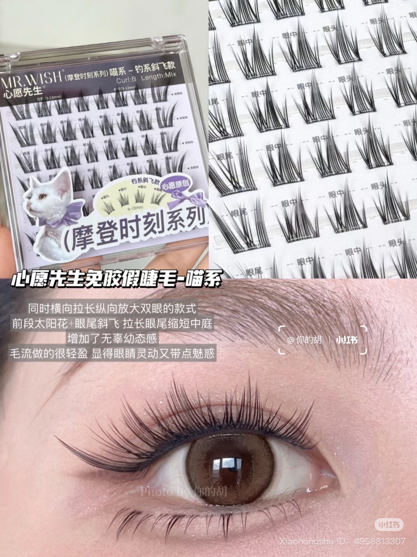 image_96C63C97-AE75-470D-9FD4-AD11ACA2B2B8_1751968629