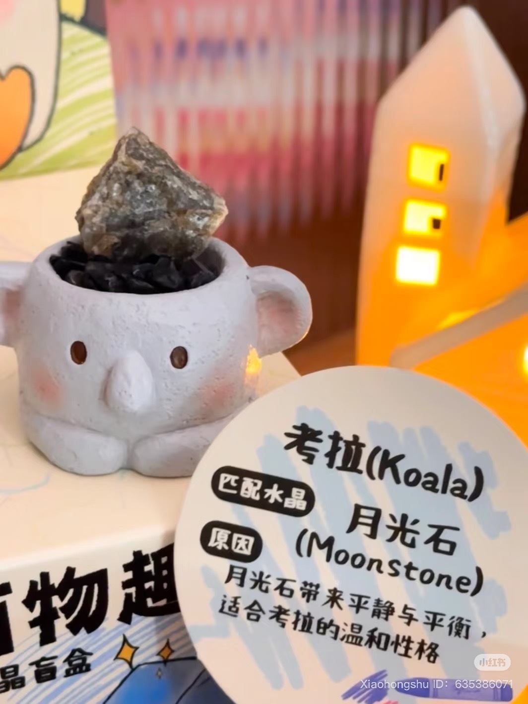 image_BD44E7DF-B582-49E8-81DA-C7FB735D0AFF_1752154606