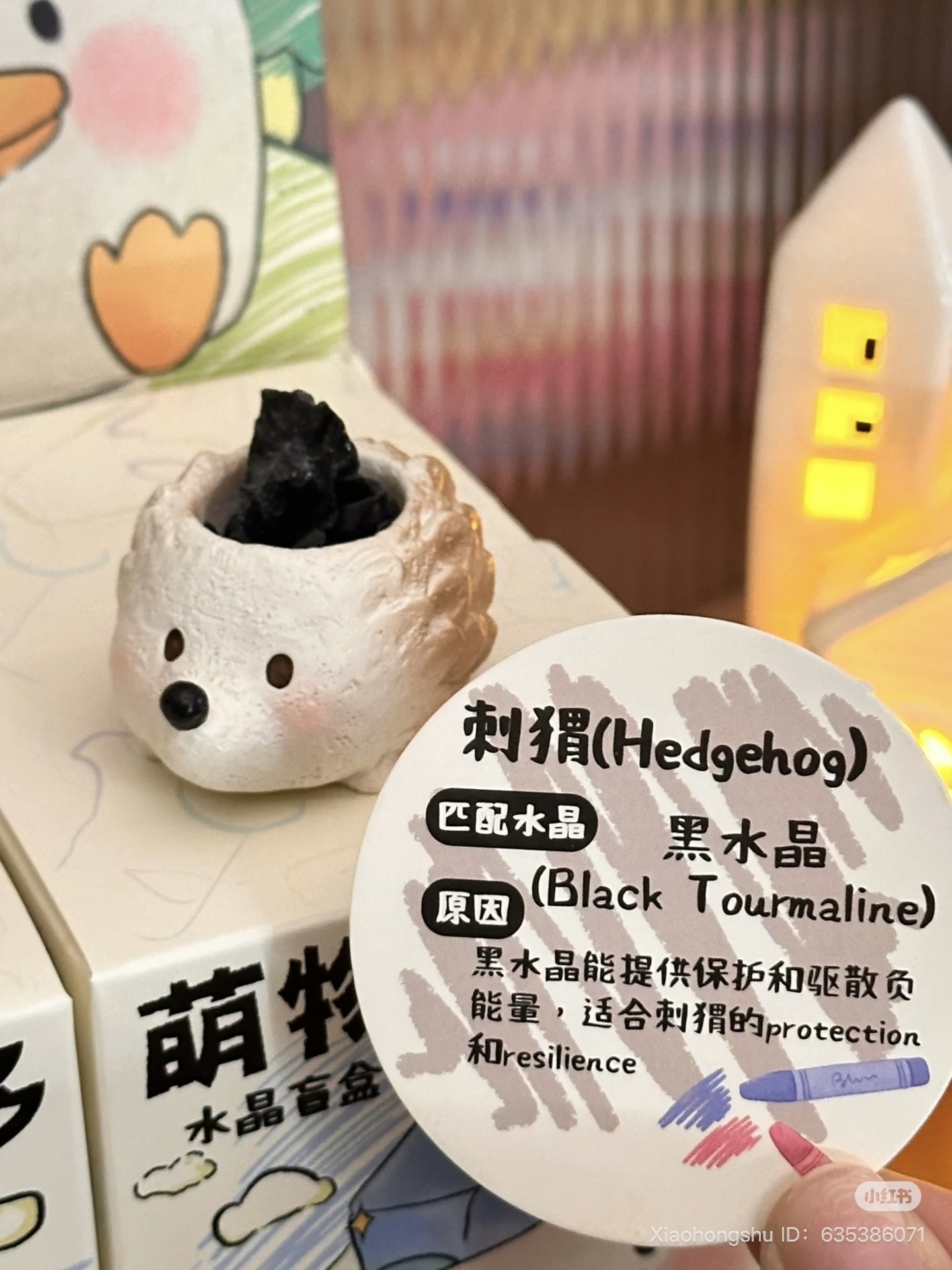 image_50D13638-AD44-4321-BCB1-37C4938EE2FD_1752154606