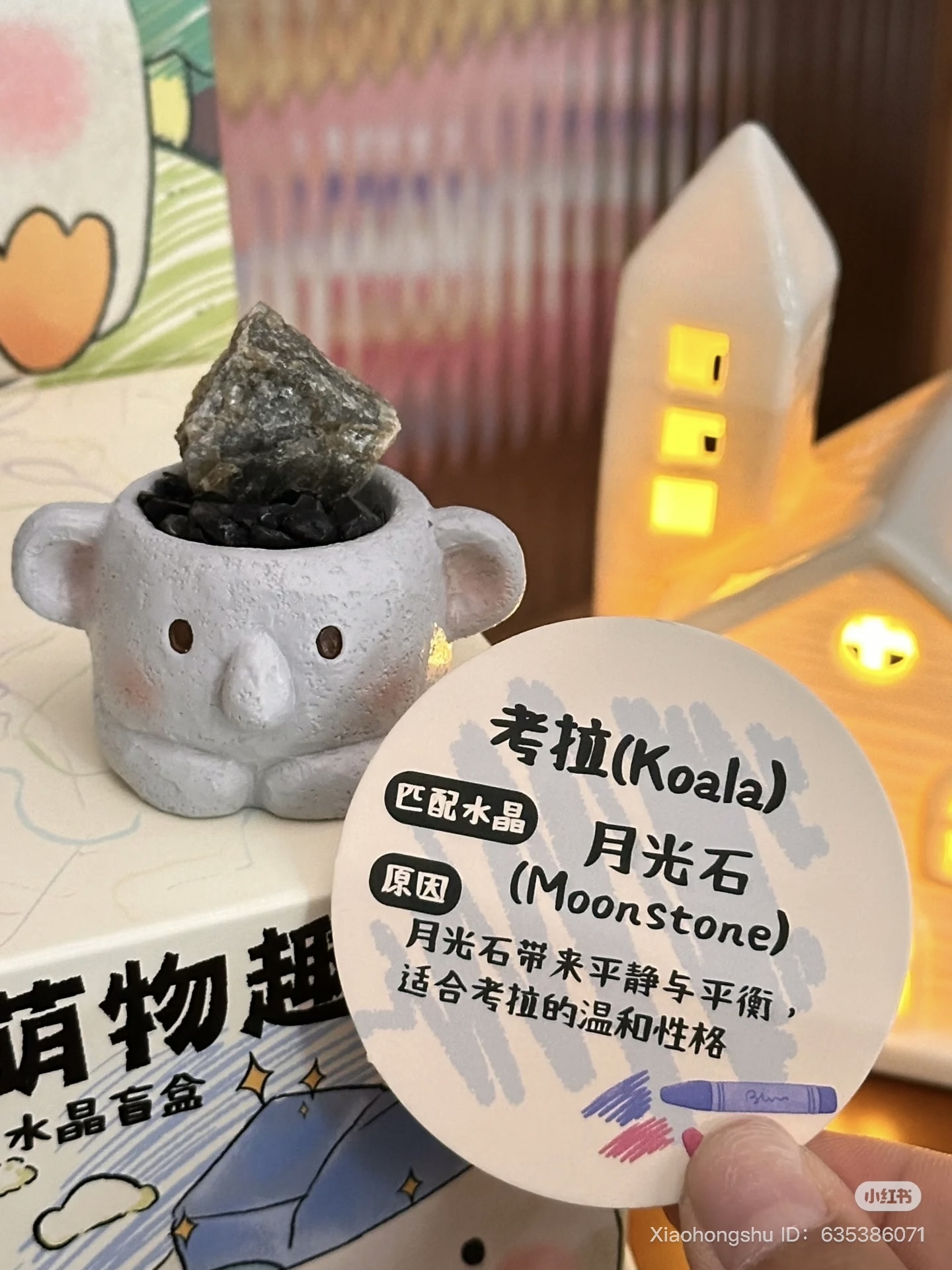 image_56845FF3-B9CA-44A3-8153-3417EBA7BA08_1752154606