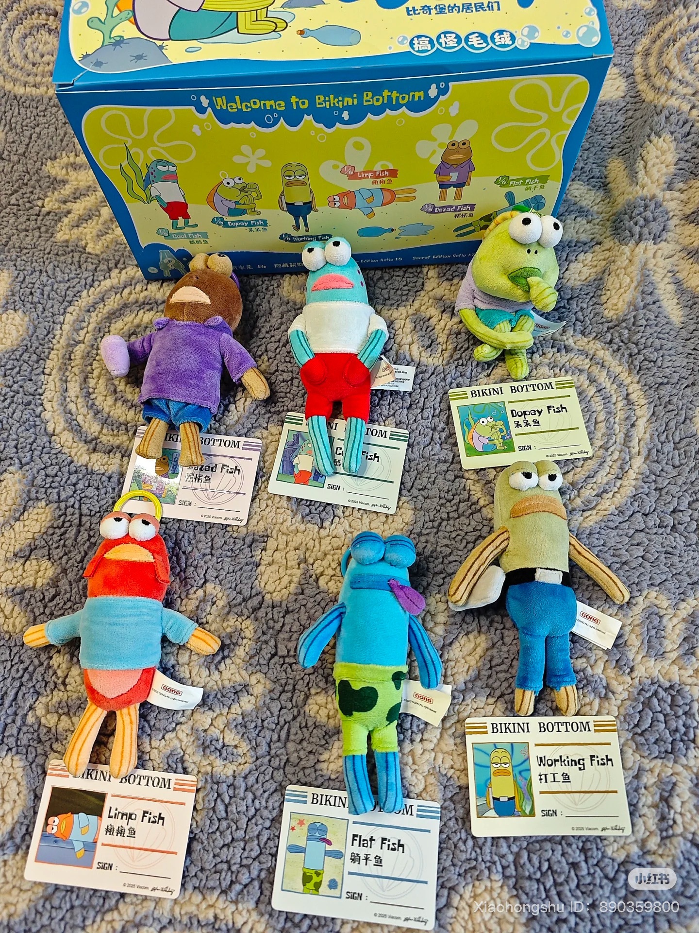 image_76D80F06-103D-45ED-9152-B6A88B0278EE_1752671583