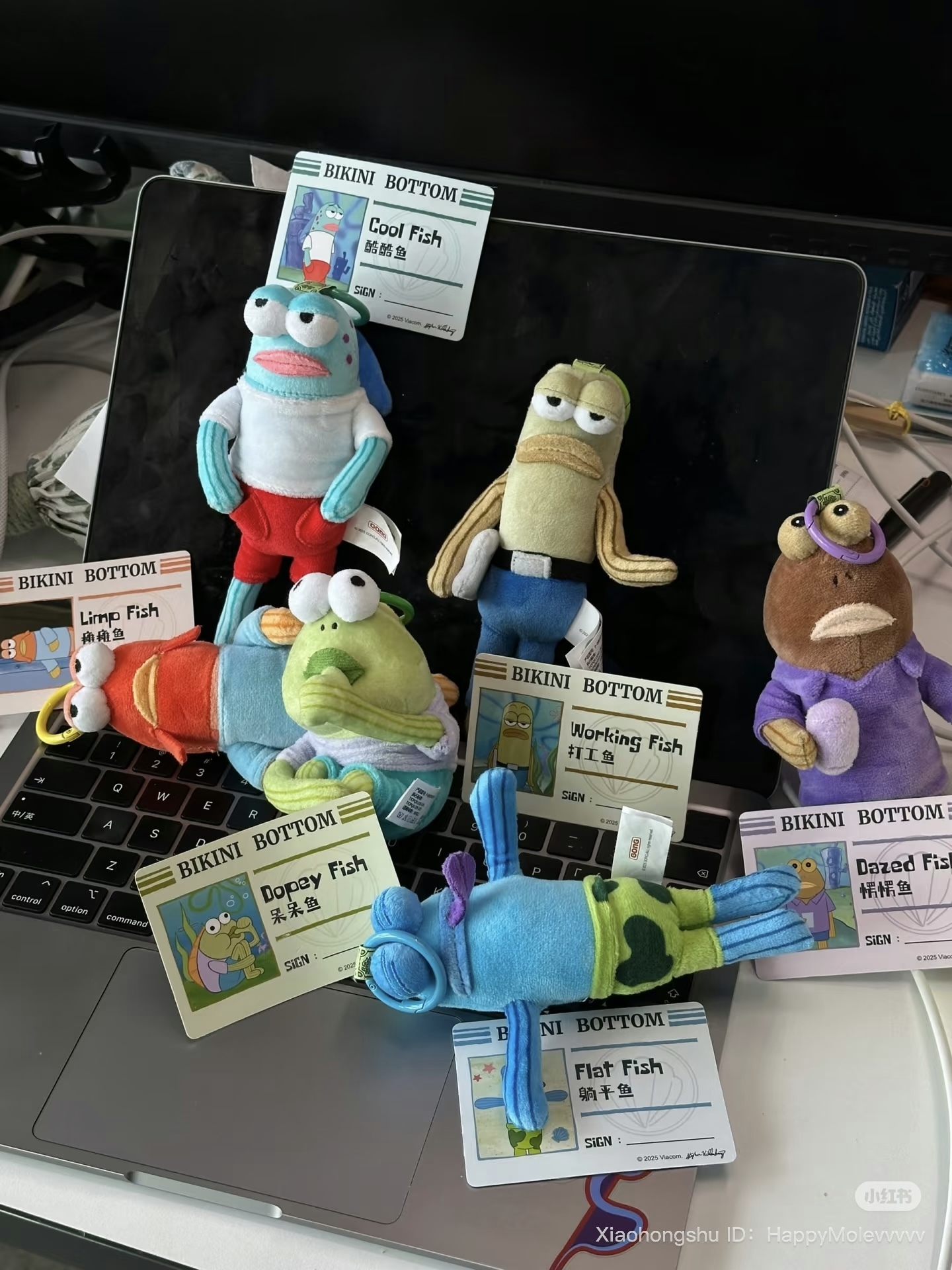 image_4A74BBEC-B6CD-4734-80E7-81572A3BDF9B_1752671583