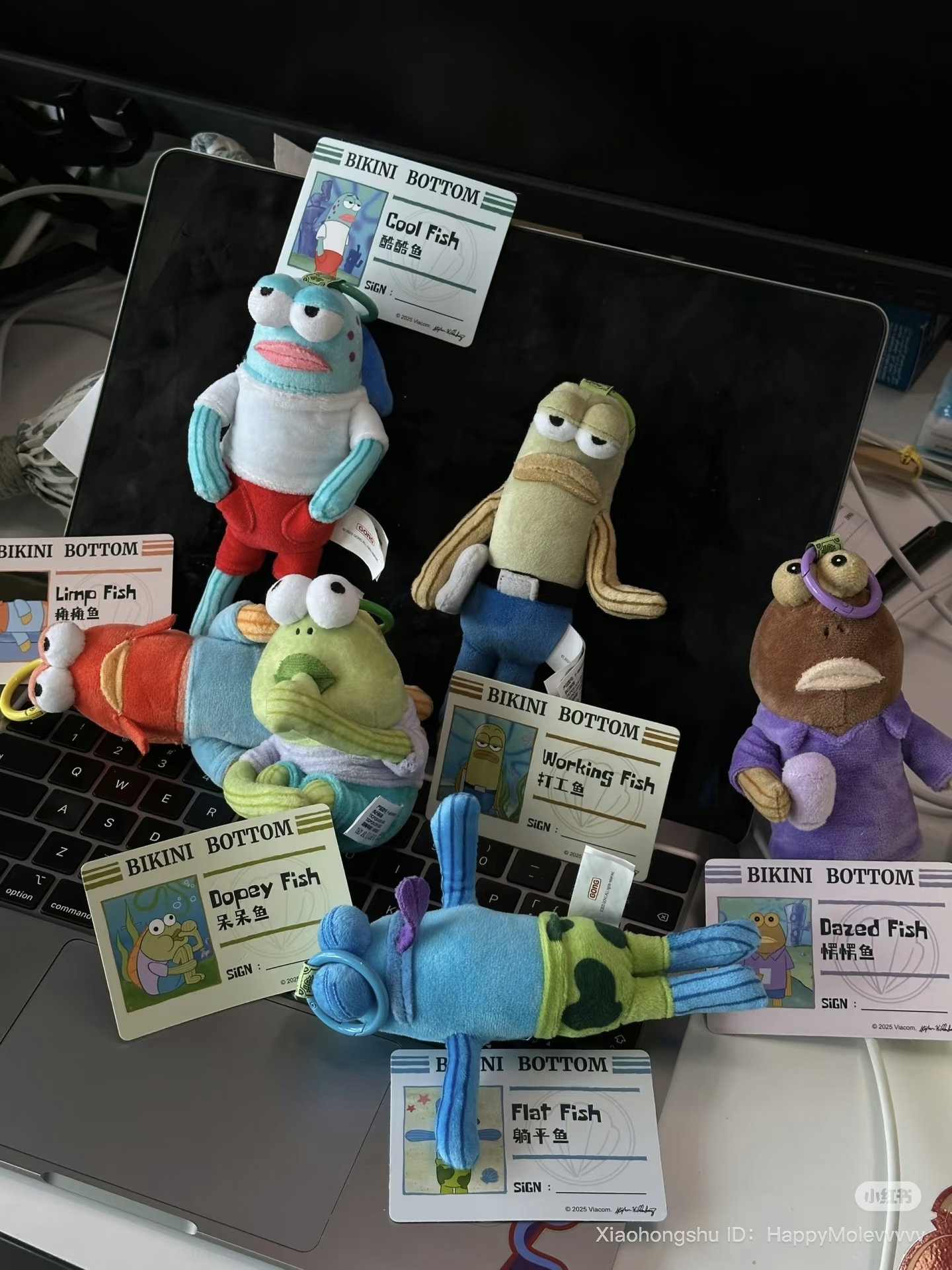 image_4DEEBCAB-69C3-4C70-8F5C-C4ED42C1047A_1752671583