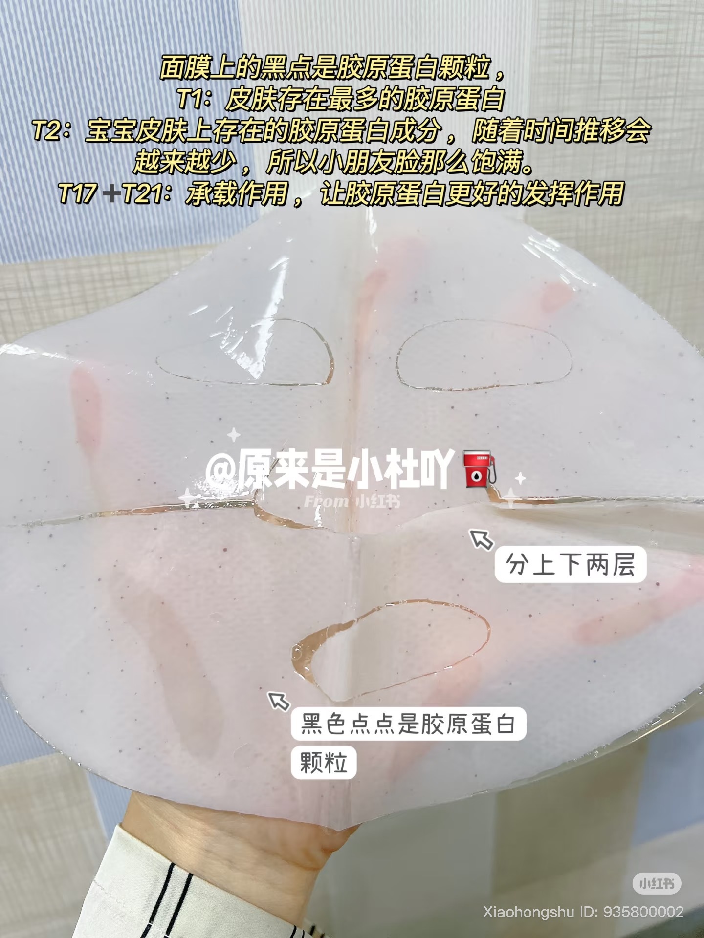image_0131C7EF-1E29-4C31-9ED8-2DB54C9AE8B5_1753007699