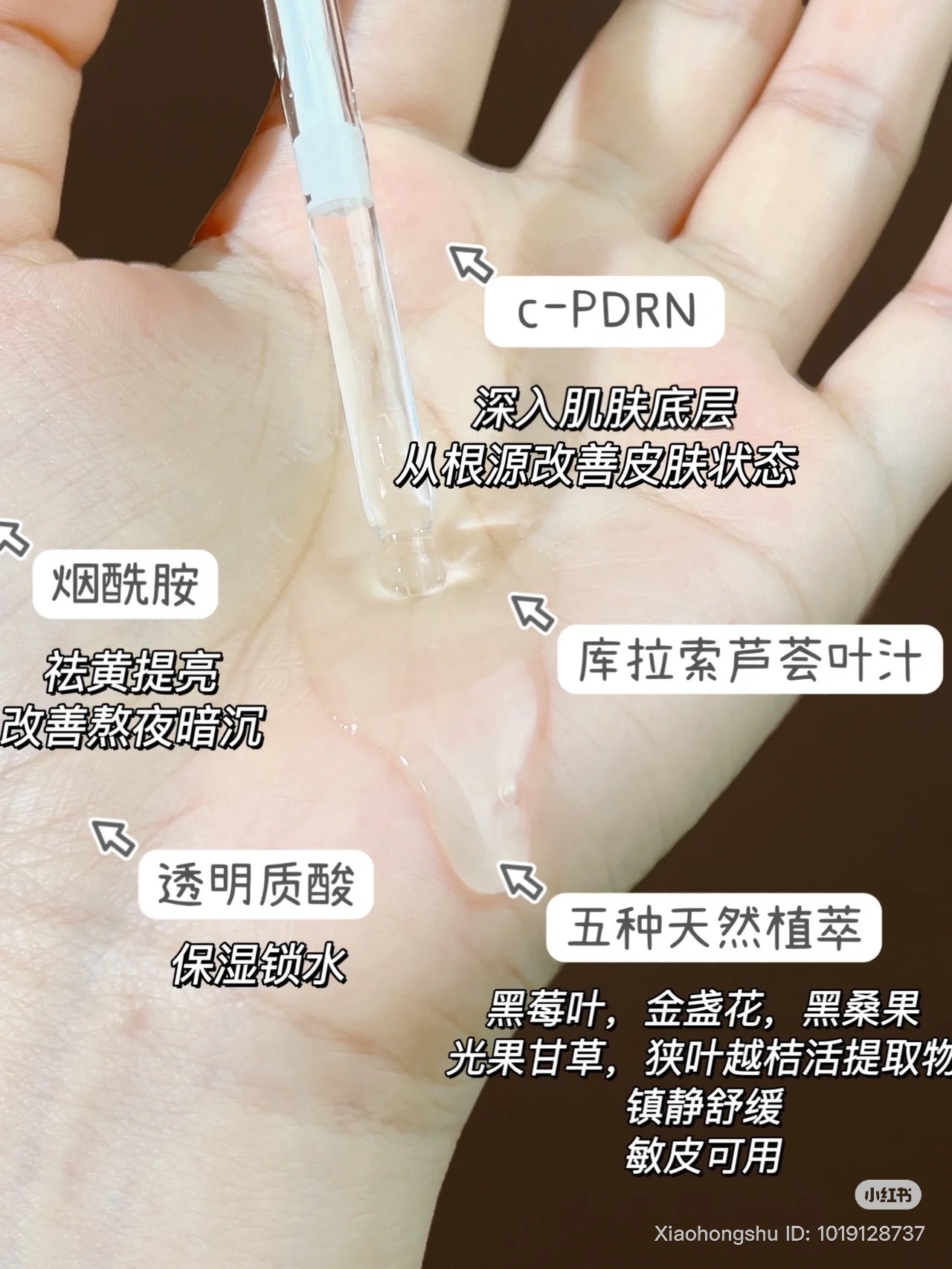 image_8A54BC8D-7D7D-454D-B8A5-9CEFCB54845A_1753261771