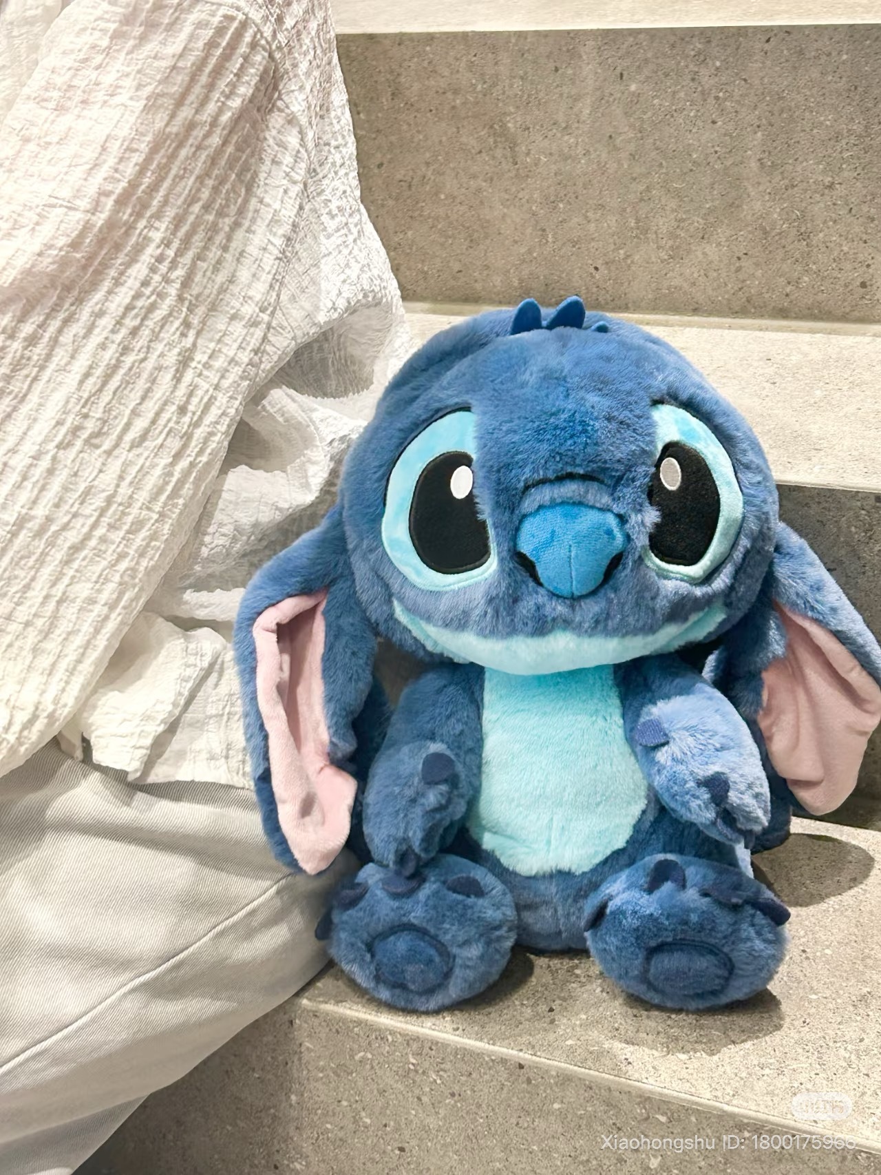 image_ABF1035D-361B-4EE1-90D8-7ACB572E7929_1753281256