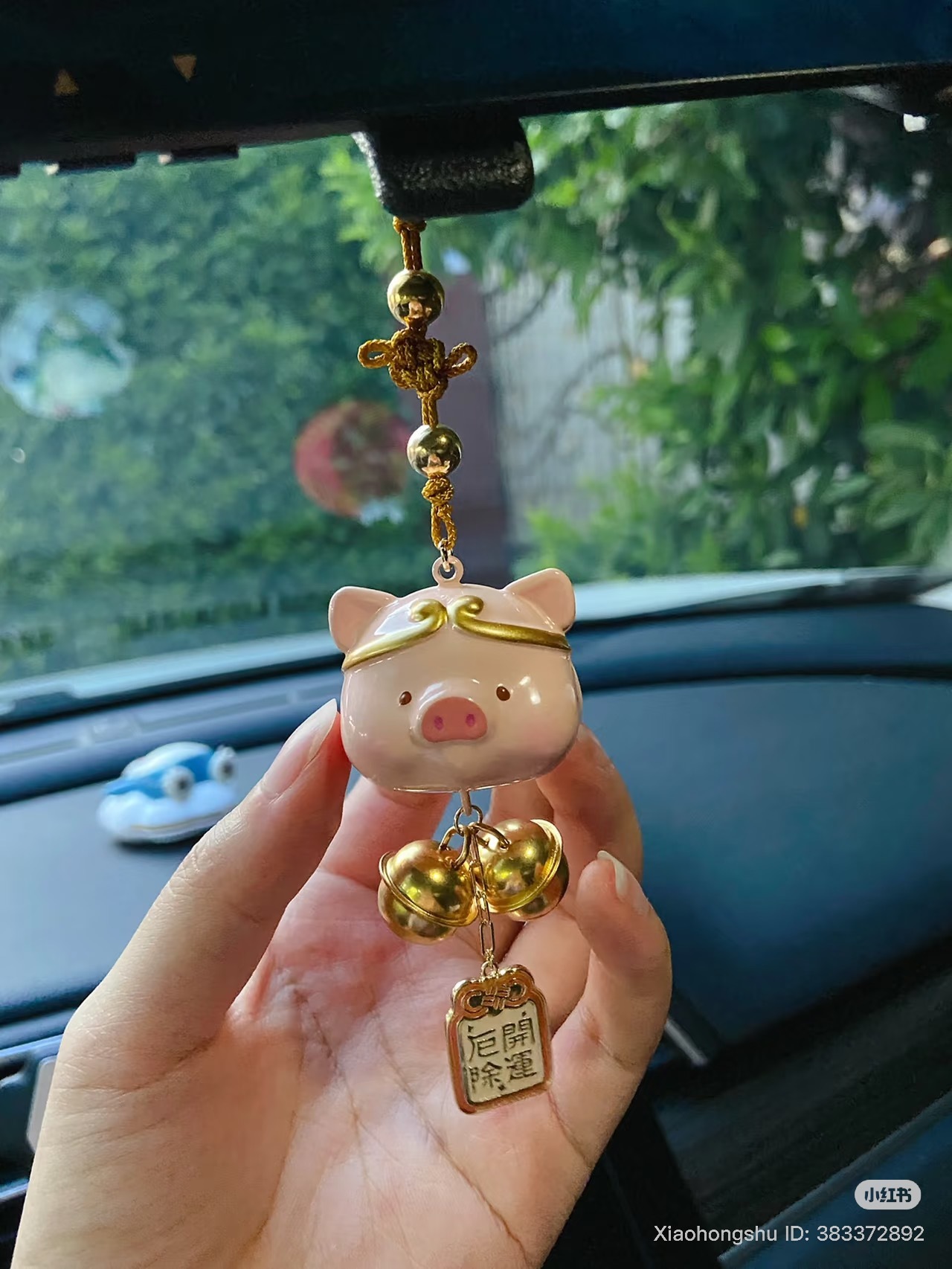 image_CDF06746-3902-43B5-91C4-A590C53E17B9_1753368725