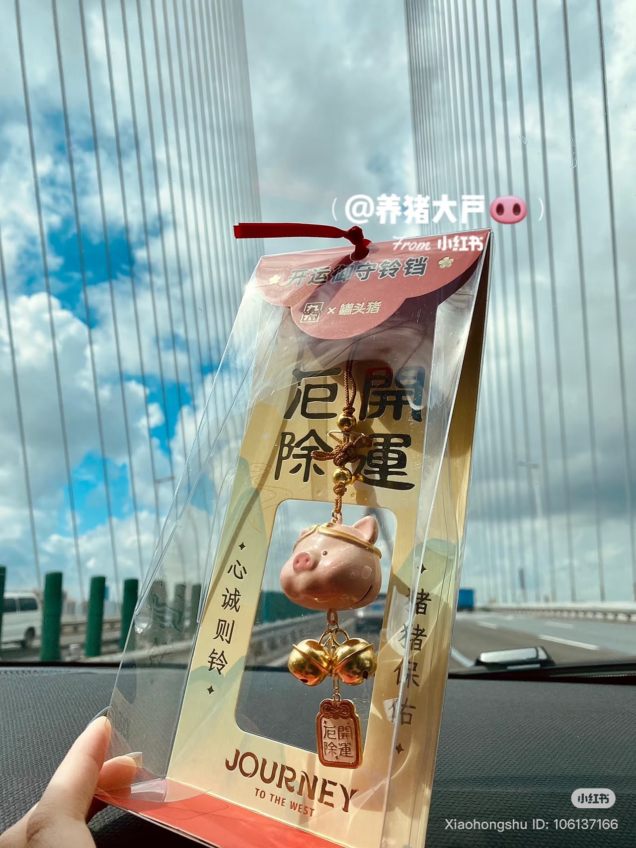 image_7B2C5CCE-C945-4C3C-BA5B-8E40F3CBE470_1753368725