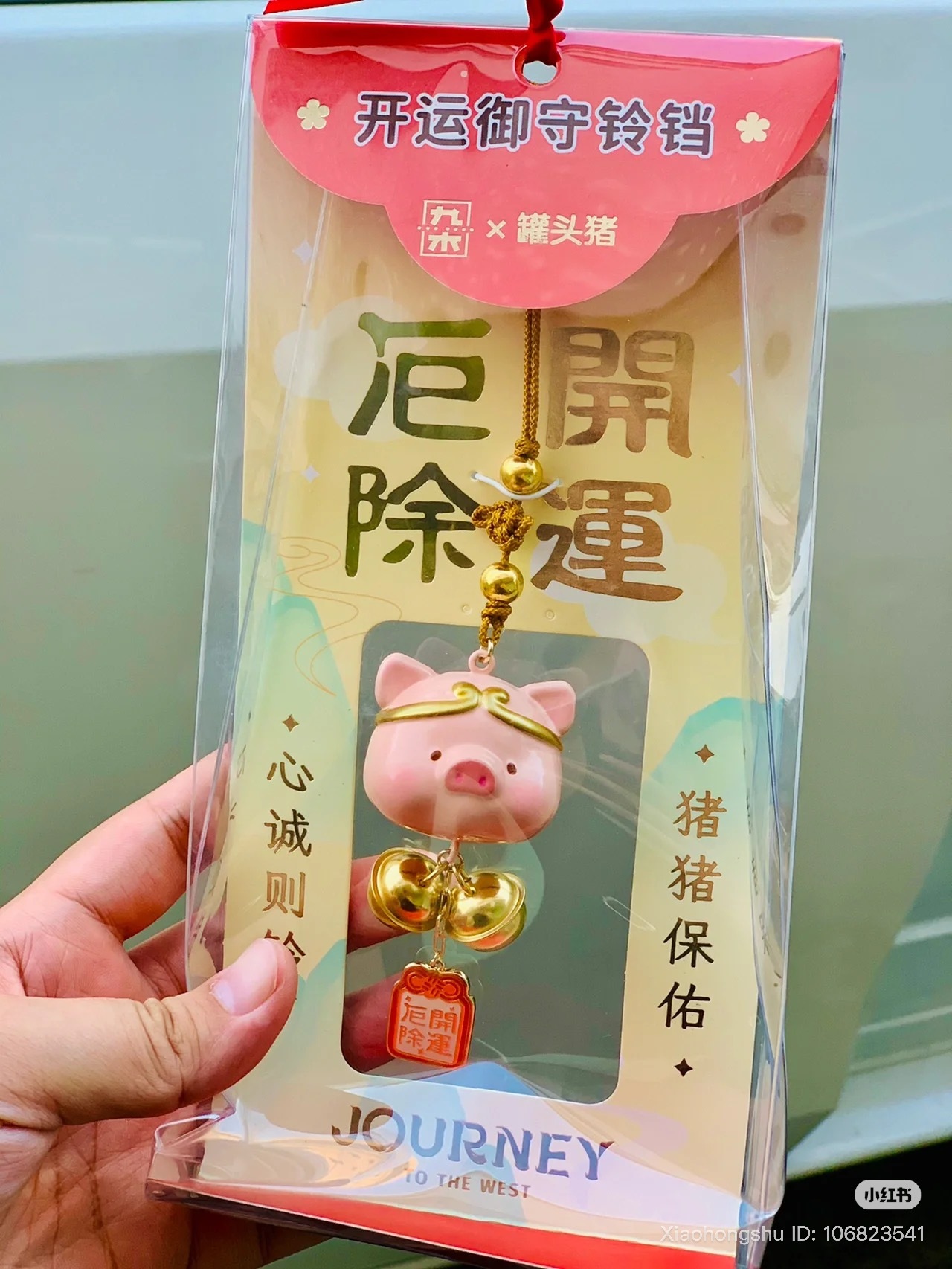 image_F6C5CFE4-10EF-412F-B6CE-3ACA95A436B5_1753368725