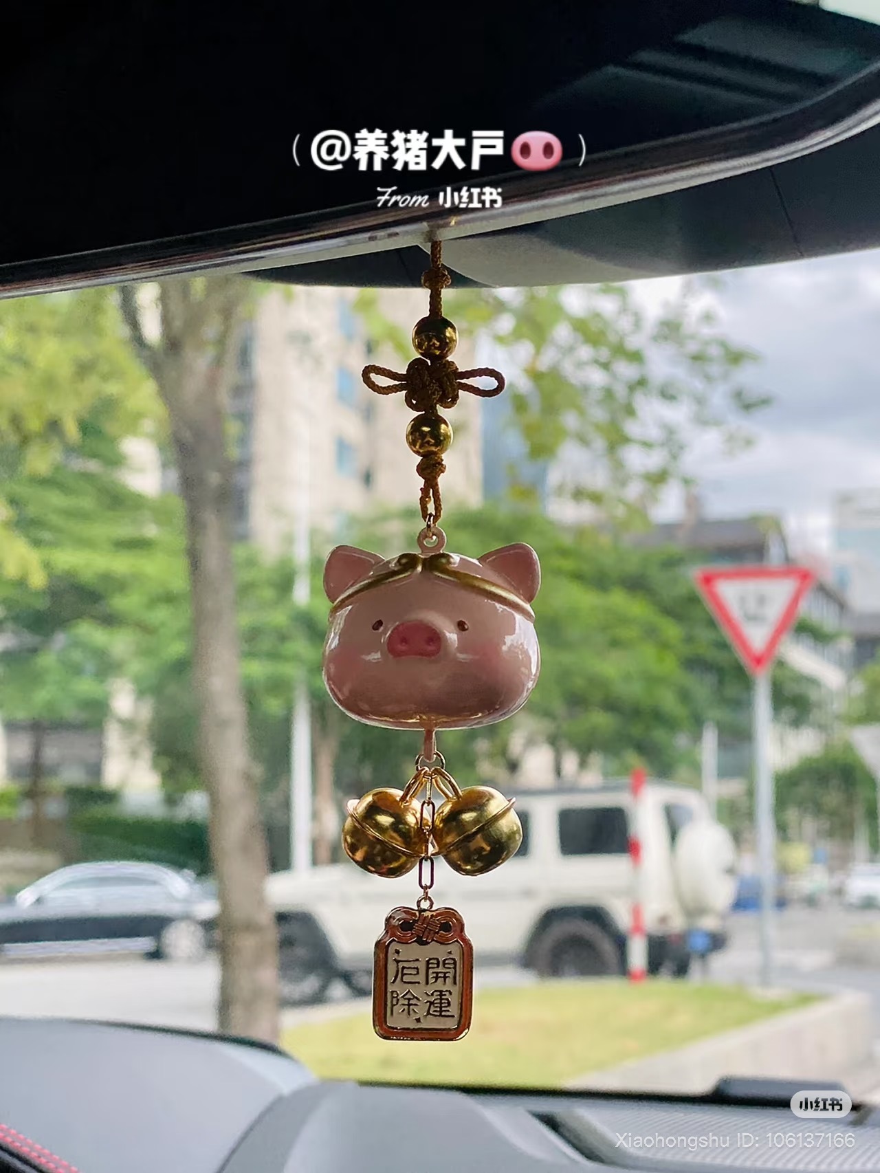 image_0627E66B-E91A-4FBD-A104-16566A96B97E_1753368725