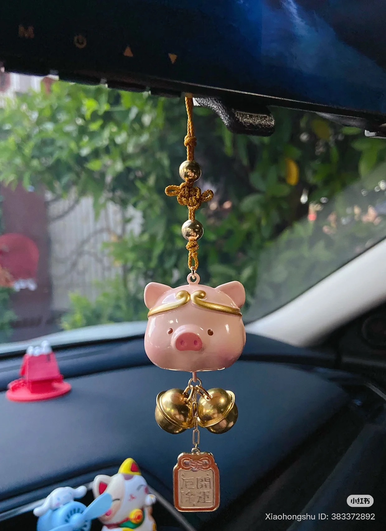 image_500E81EE-0FD4-4680-A0C3-16FCD9873A1A_1753368725