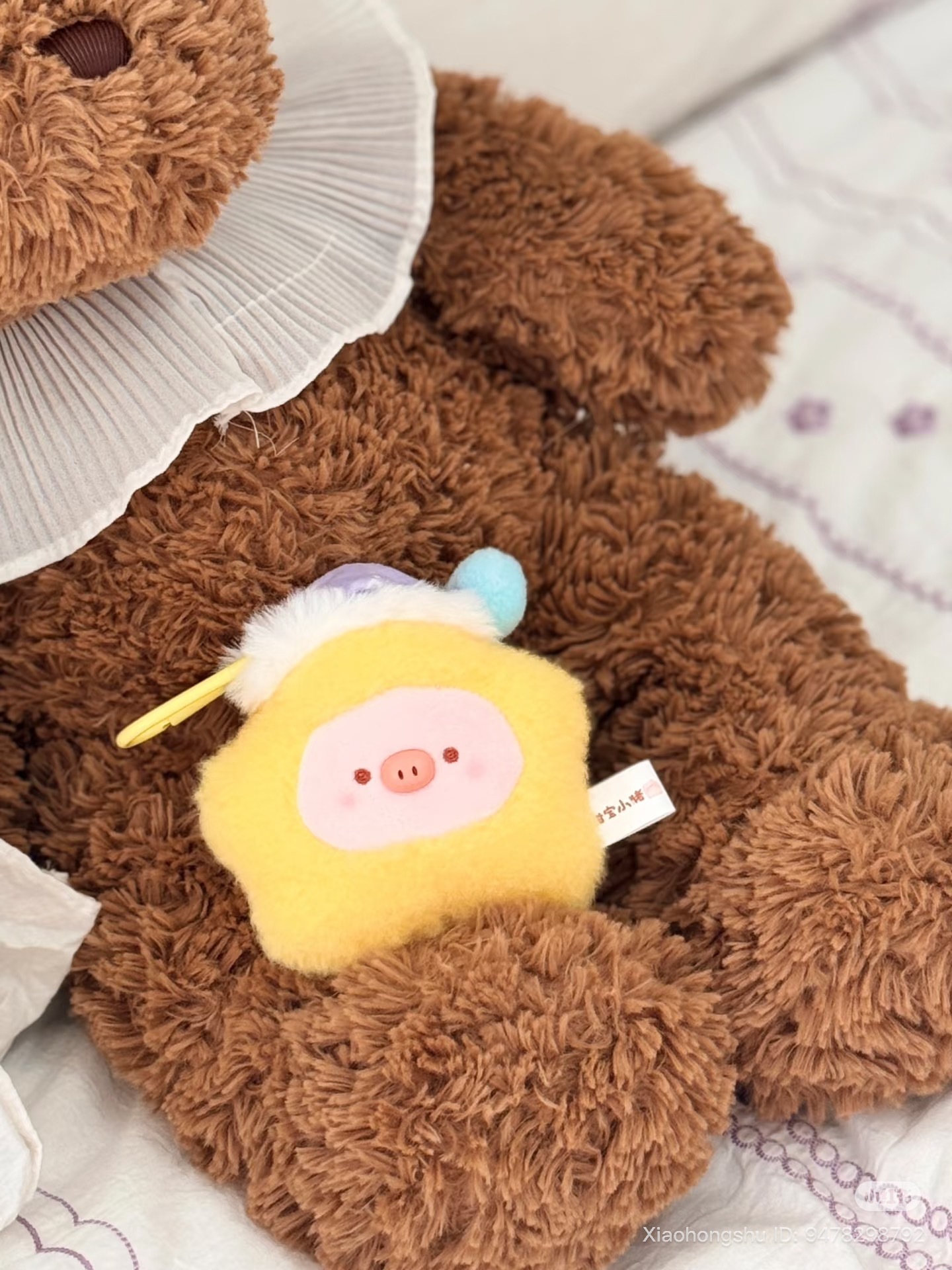 image_247720E8-27D4-46B7-A42C-375A4249325B_1753612780