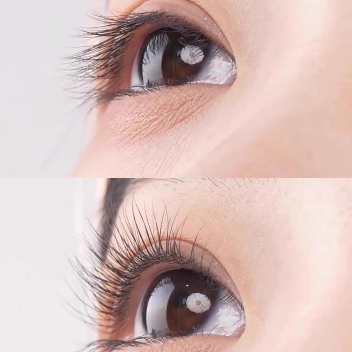 IMG_5505-1739270658416