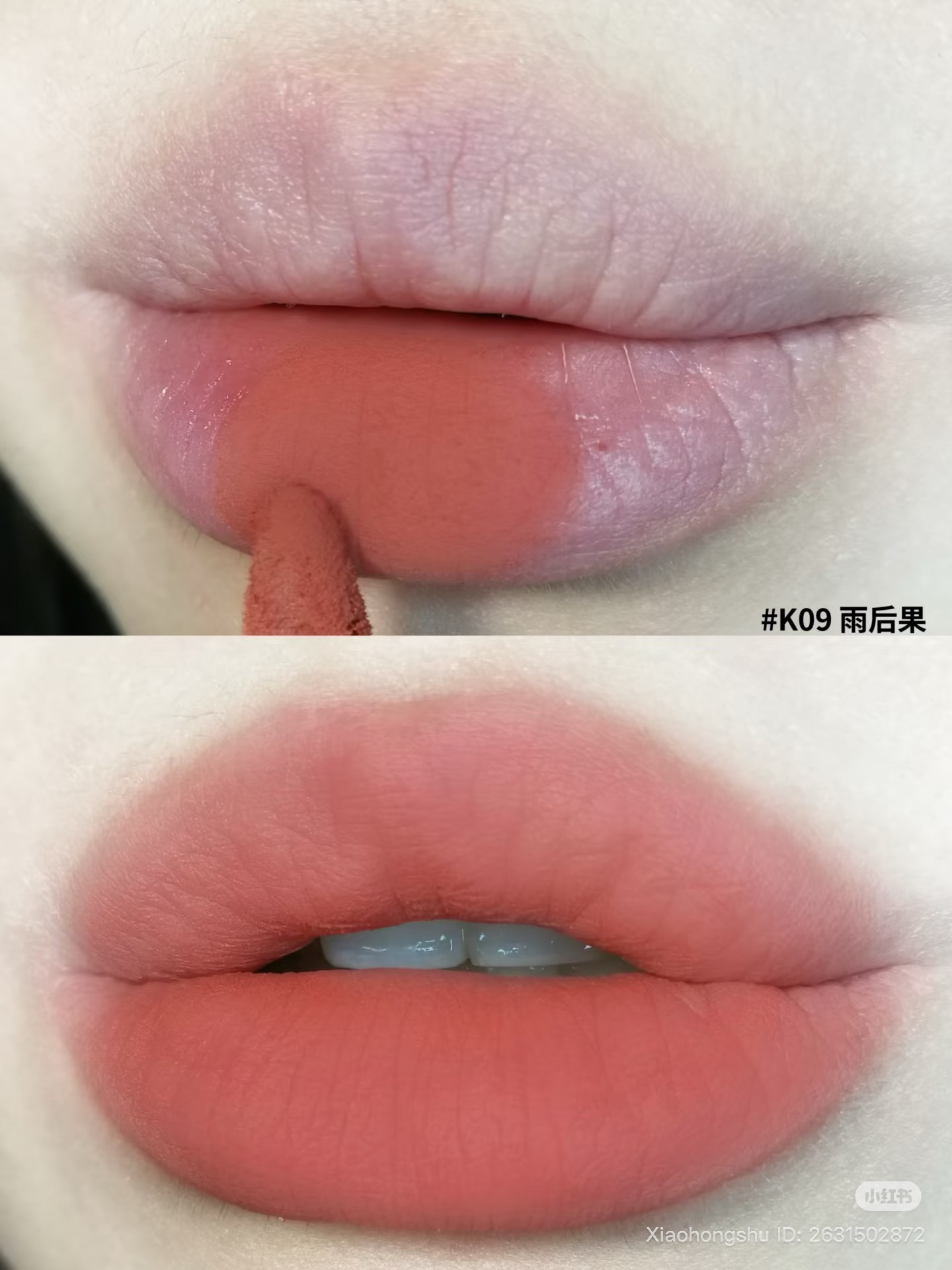 image_1ACE3228-F750-4A1F-8DE5-D6340BF0918B_1753708712