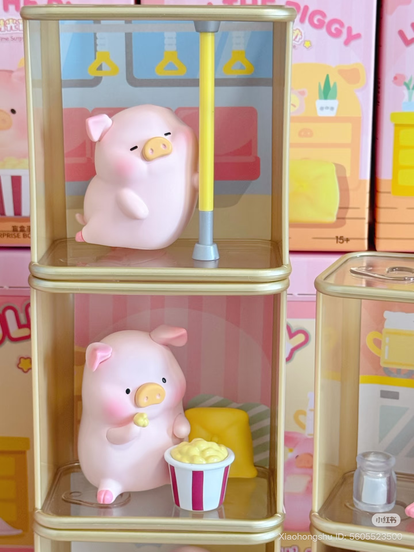 image_8790369F-EAD6-44DD-898D-BCEE29CDA507_1753711081