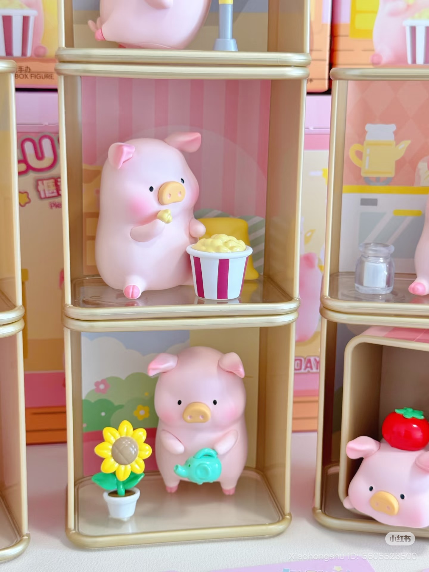 image_C41D2C02-09EE-4AFC-ACE7-22C34BFAC54F_1753711081