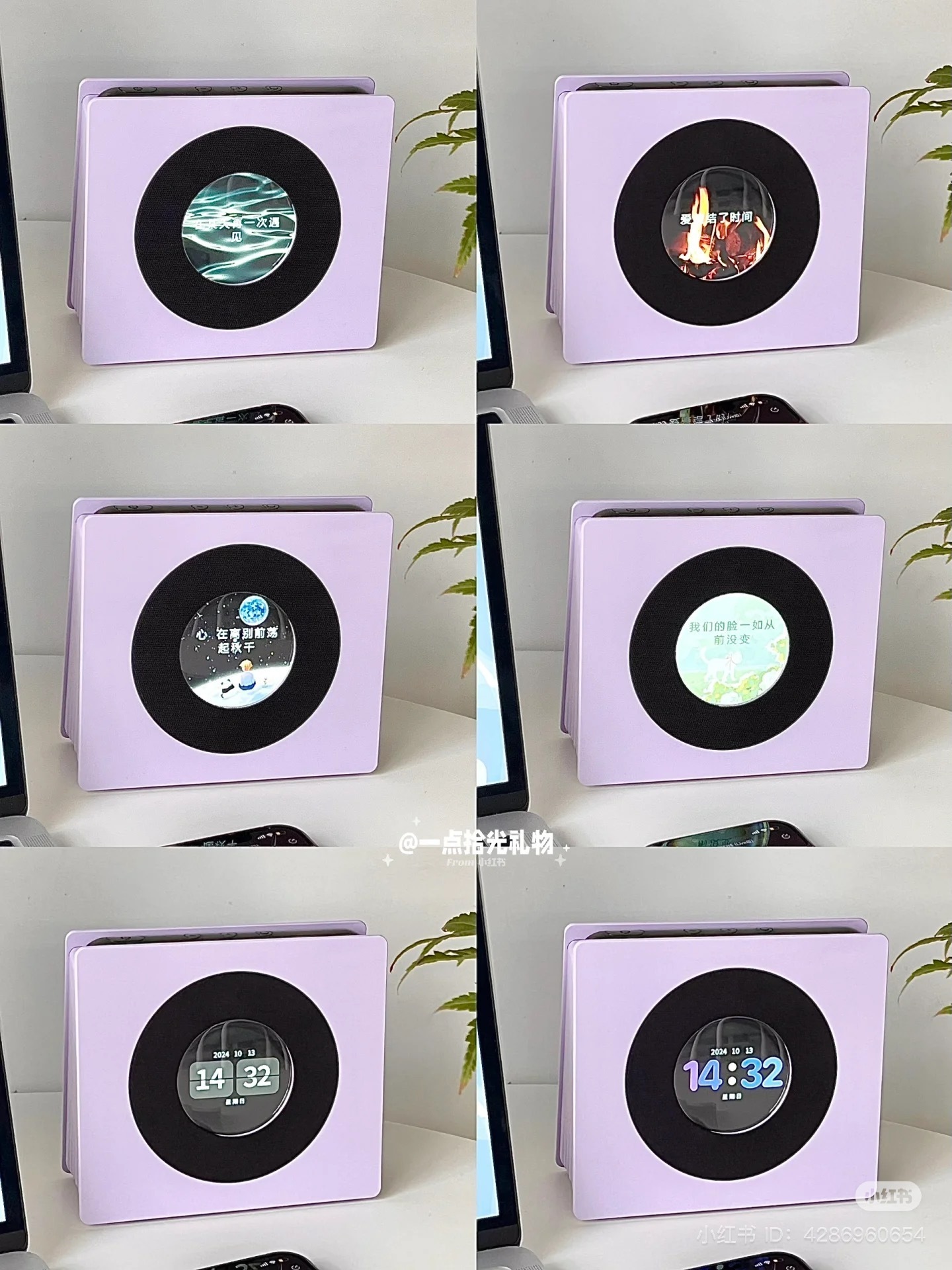 IMG_1050-1732196832034