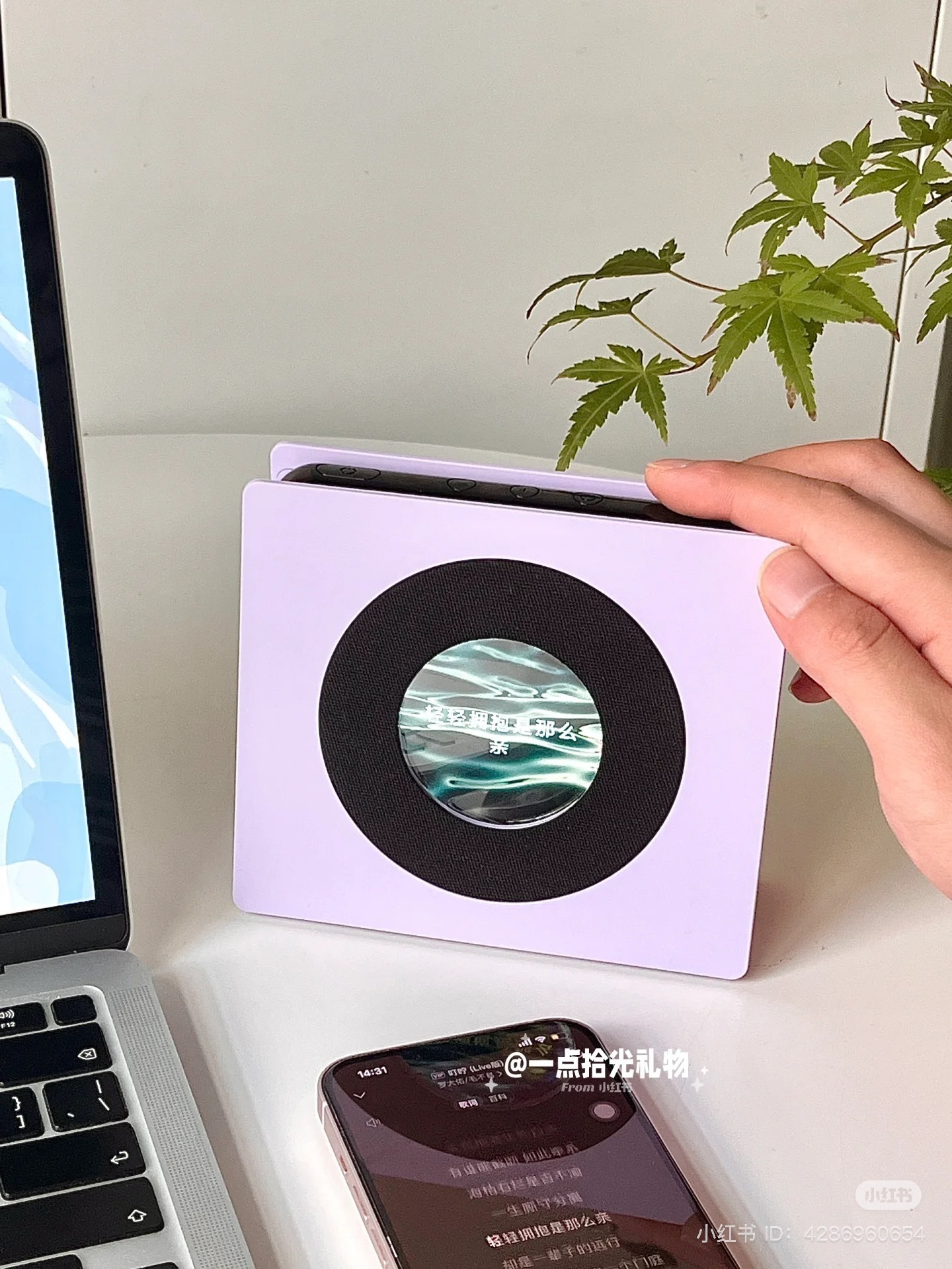 IMG_1049-1732196832103