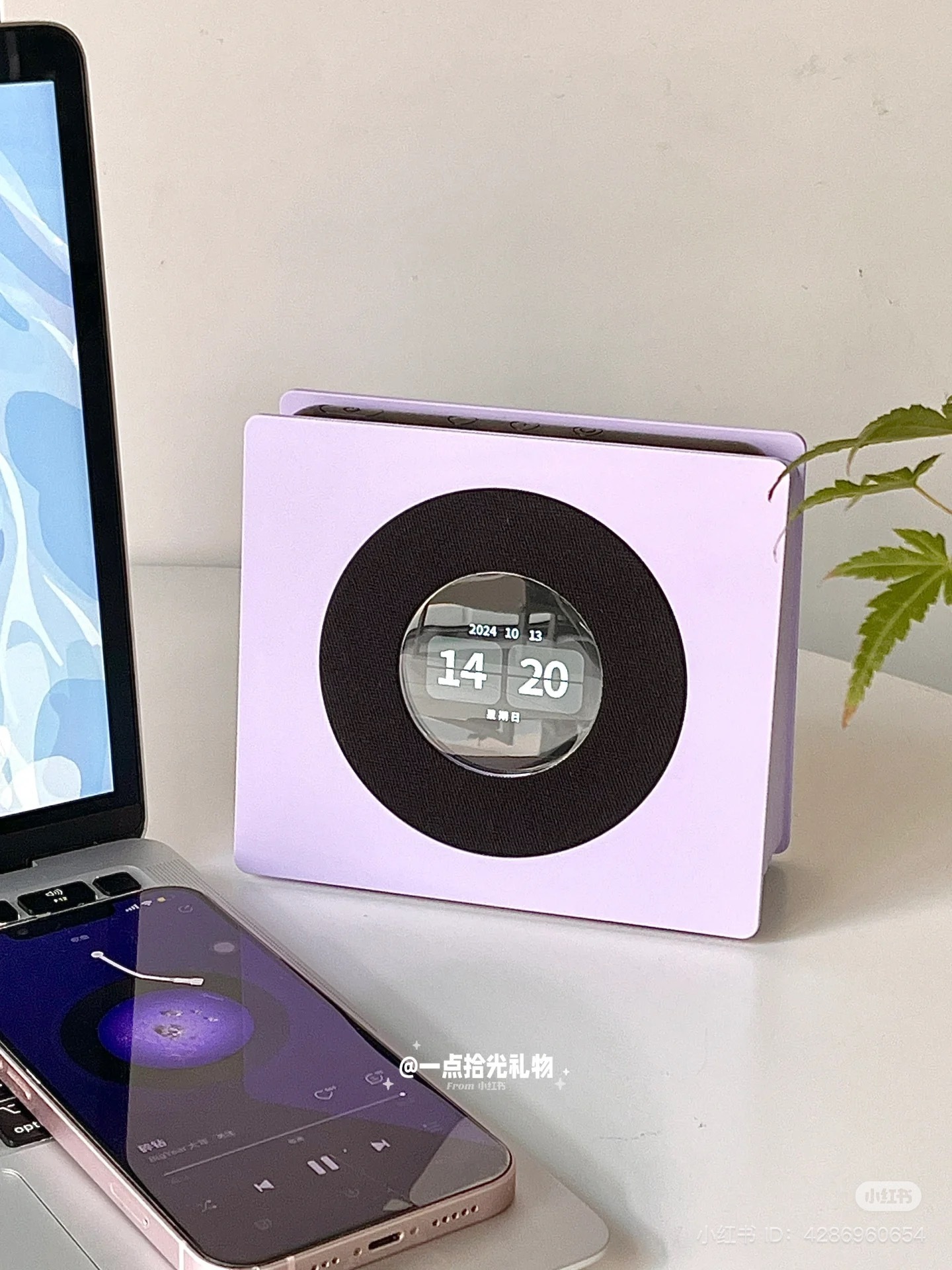 IMG_1051-1732196832112