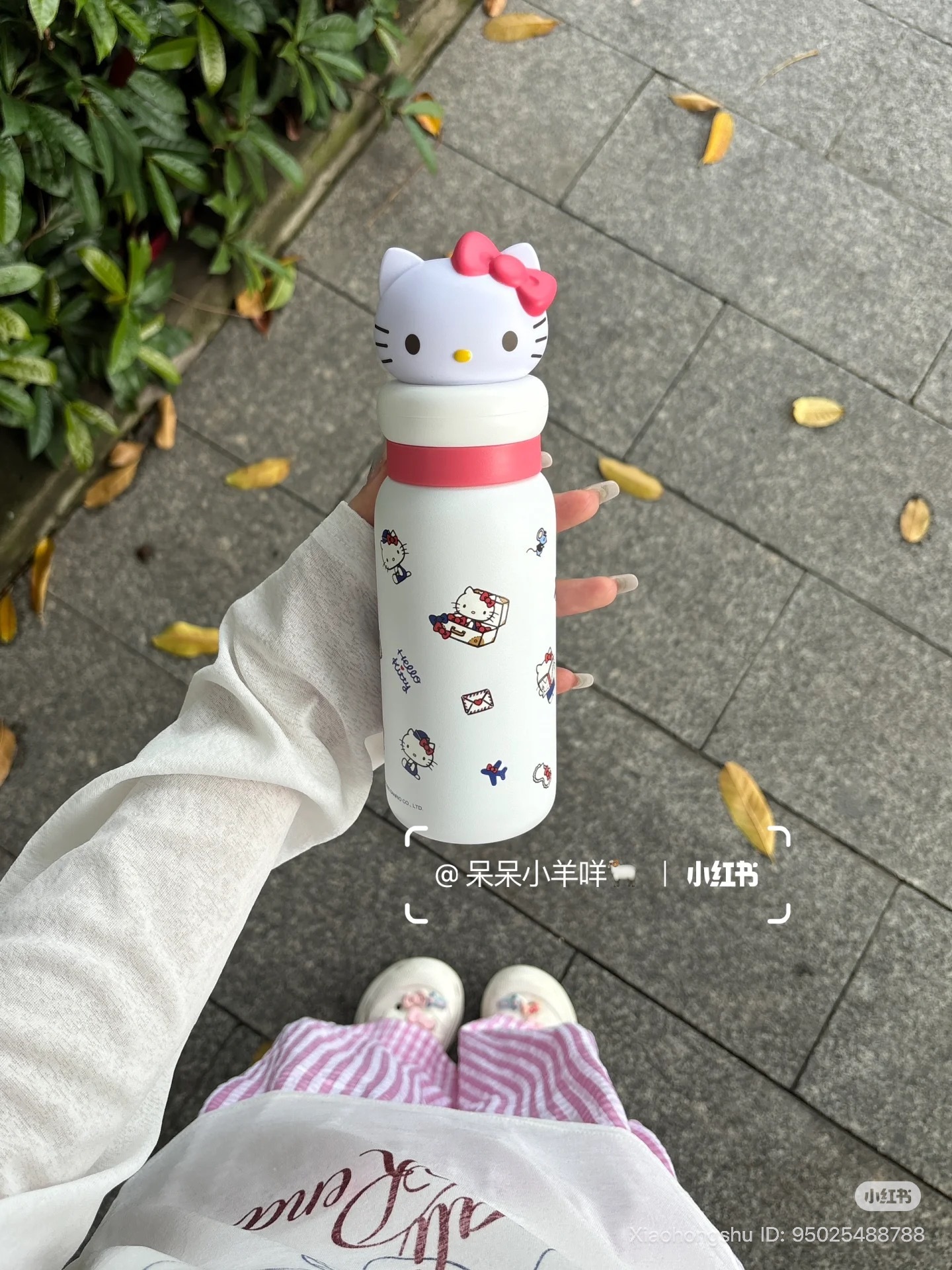 image_B687BD54-7C6D-433E-8680-A0A06C2B8098_1754104381