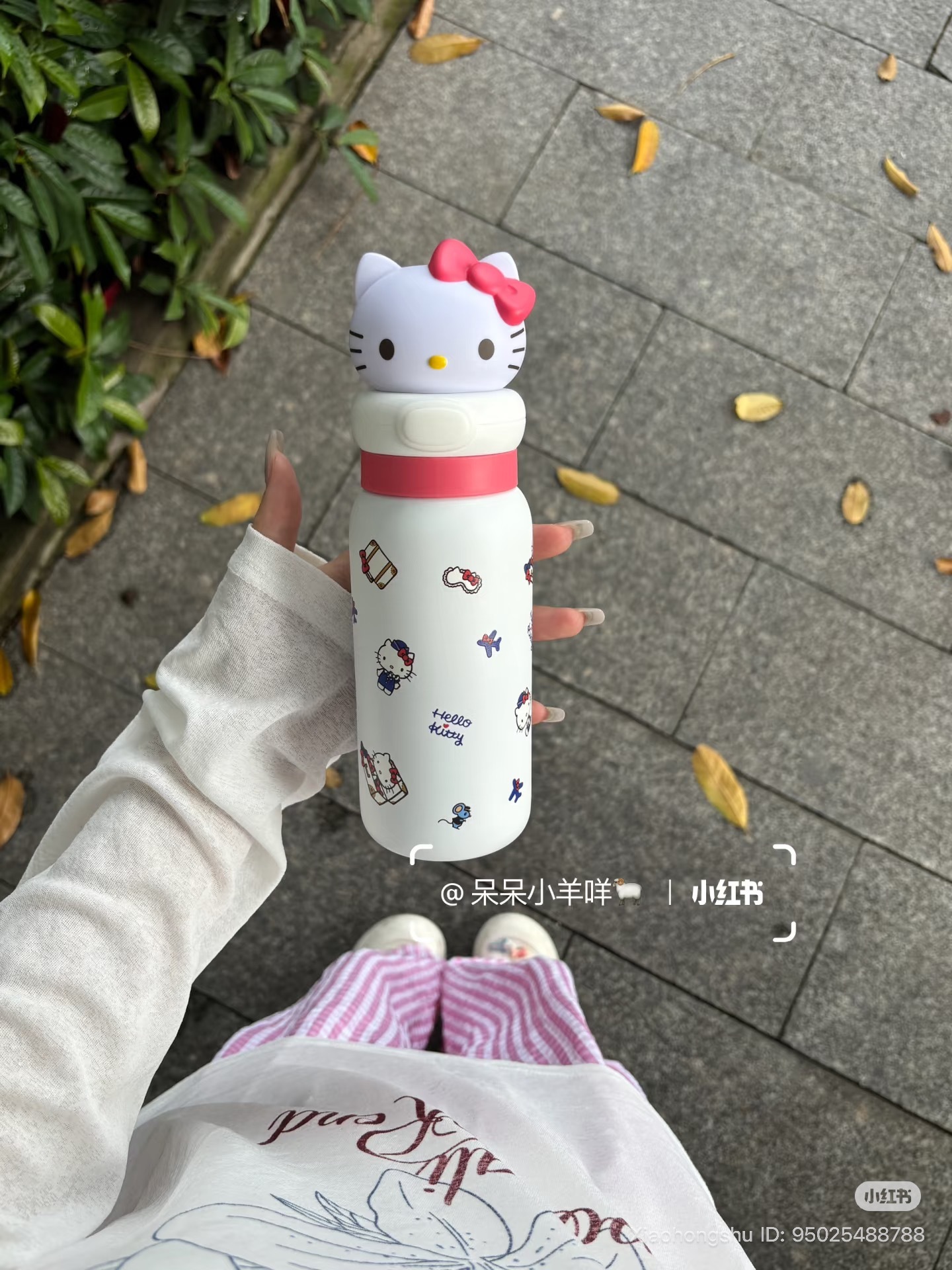 image_0FA9F61E-214D-4137-B020-3747B99ADB4E_1754104381